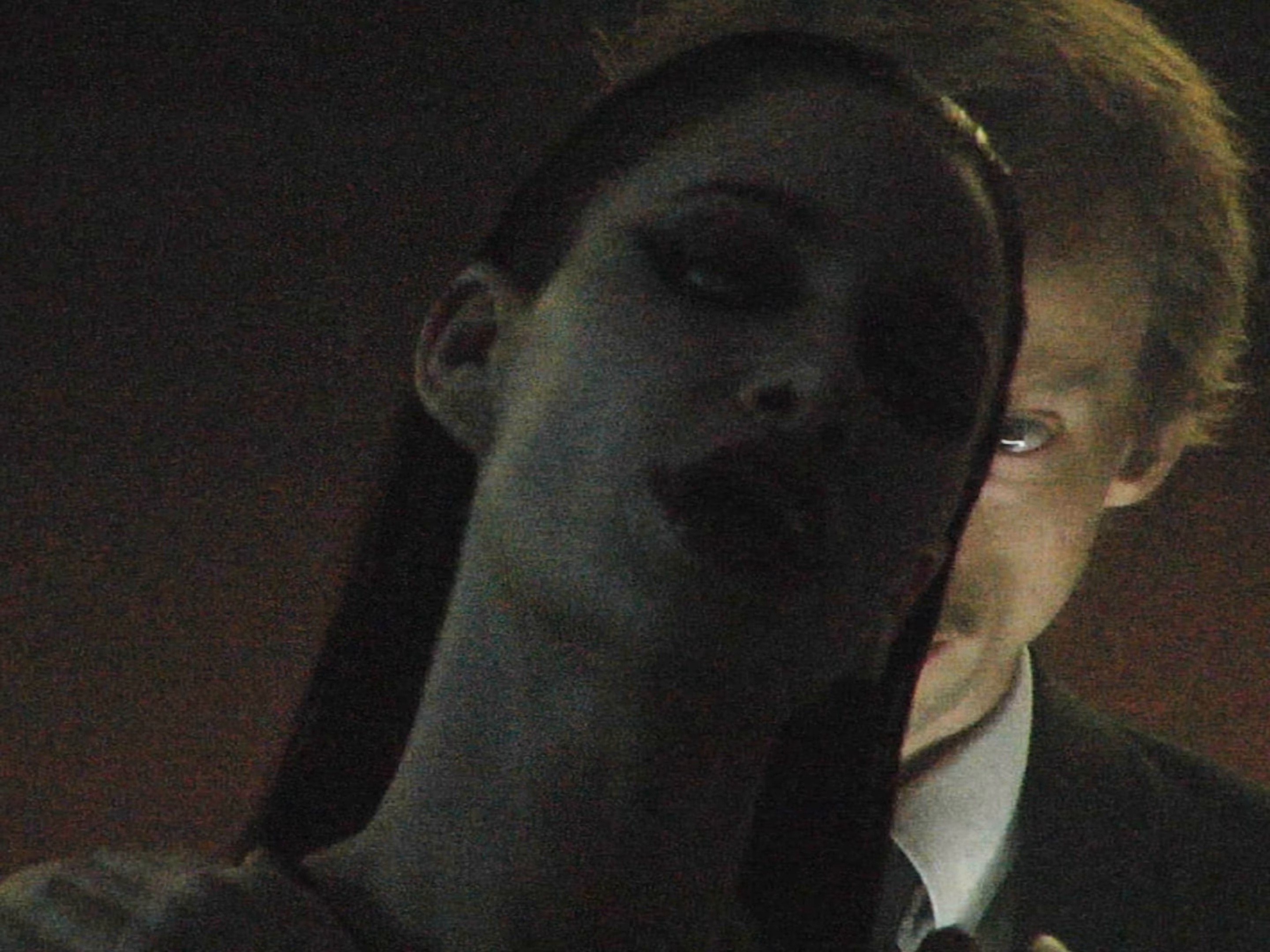 Piano and Great Danes (2025) —  shot,  lighting