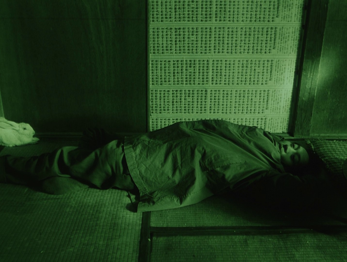 Throw Away Your Books, Rally in the Streets (1971) —  shot,  lighting