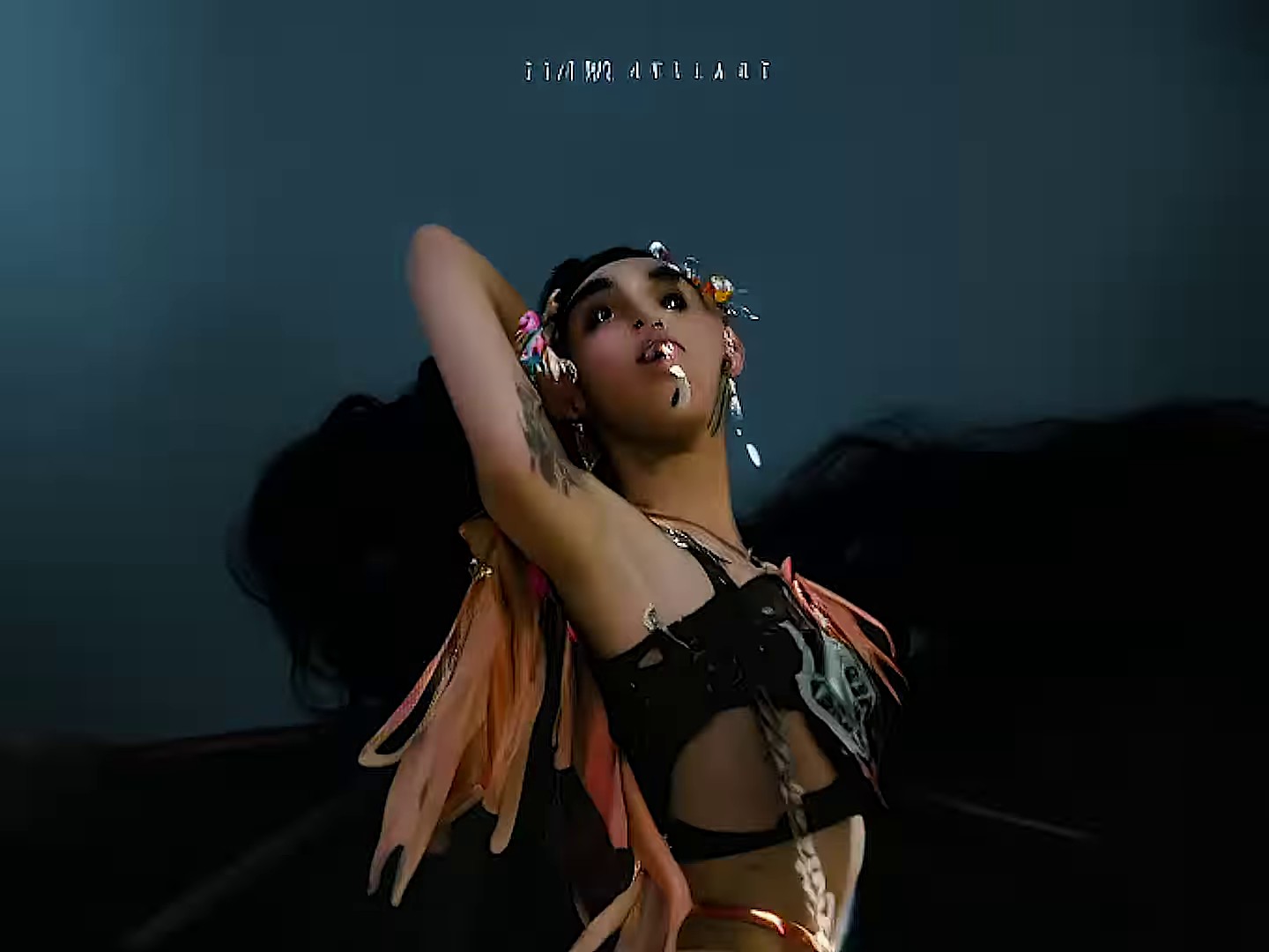 pamplemousse  (2022) —  shot,  lighting