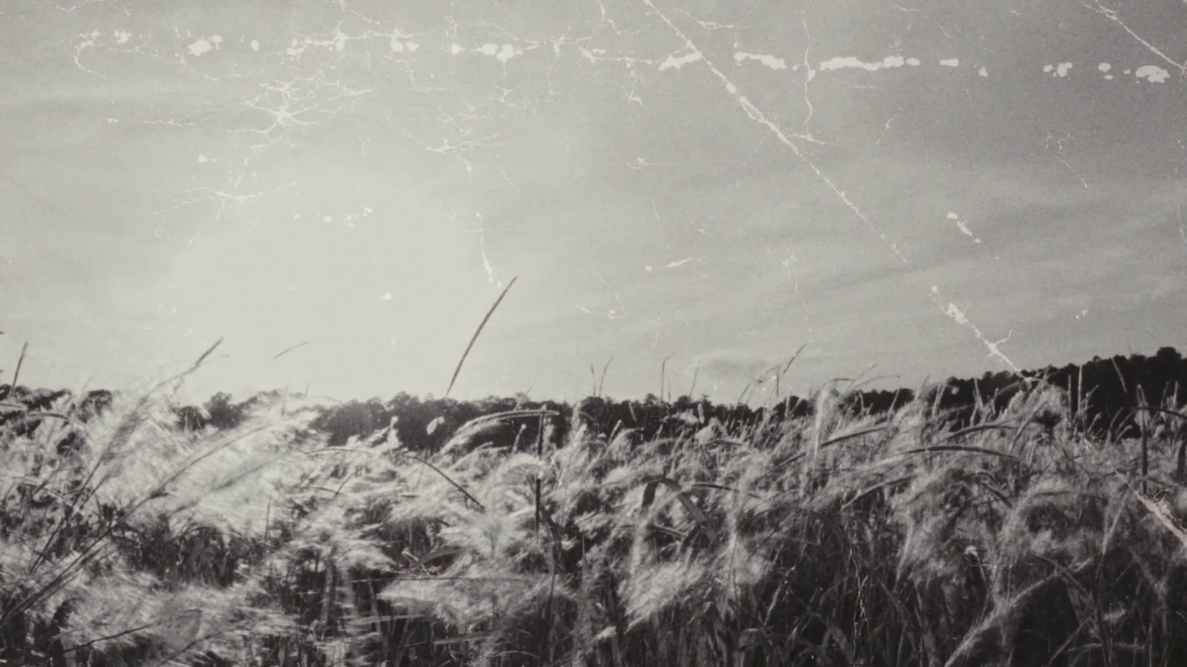 Wanna Be Loved (2024) —  shot,  lighting