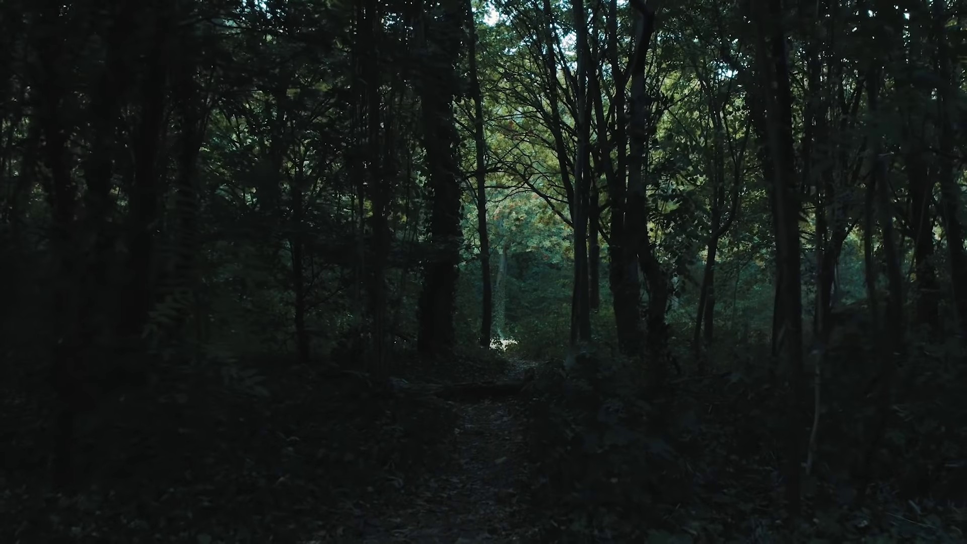 MONTRE (2020) —  shot,  lighting