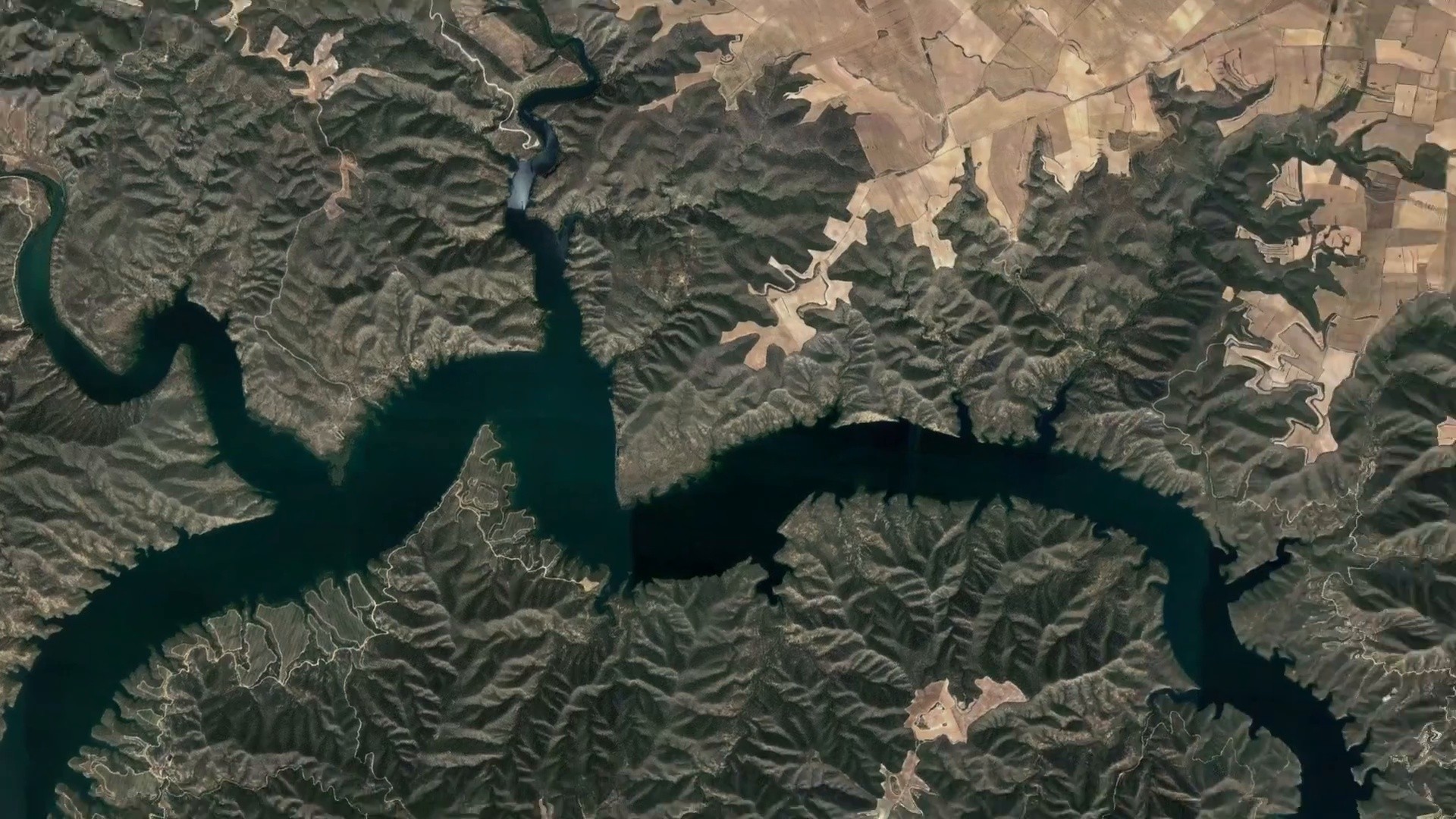 Bilsom Electrina (2020) —  shot,  lighting