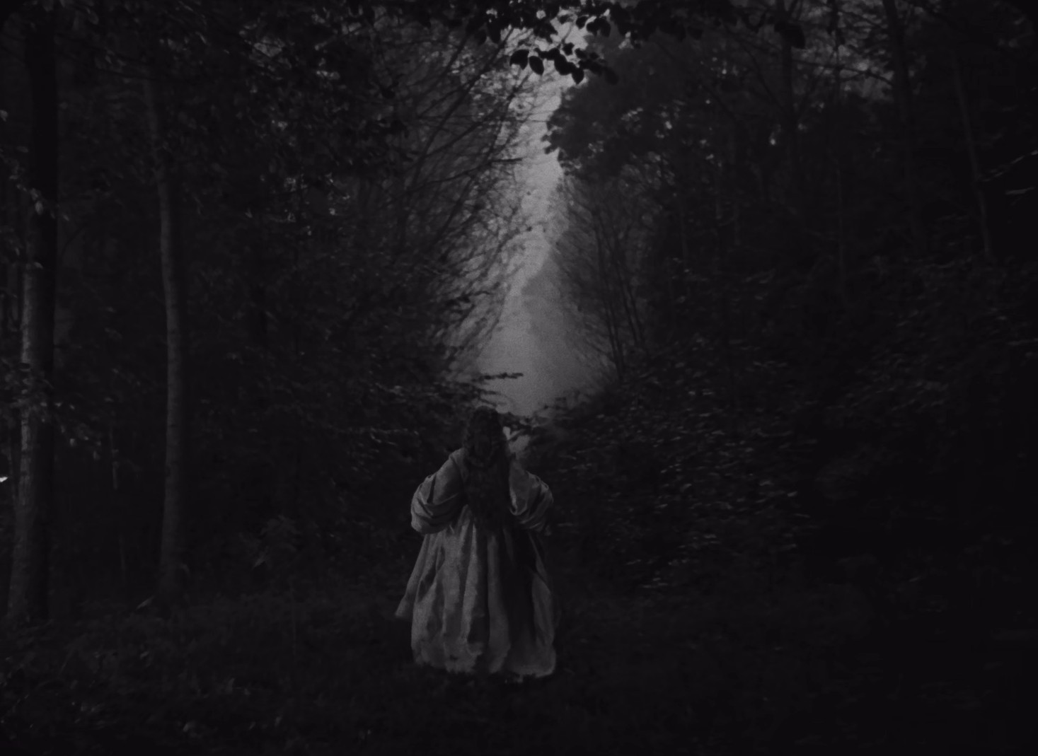 Beauty and the Beast (1946) —  shot,  lighting