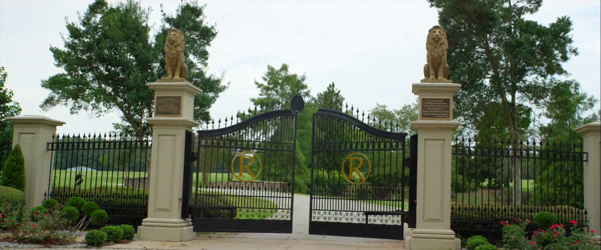 Money Dance  (2015) —  shot,  lighting