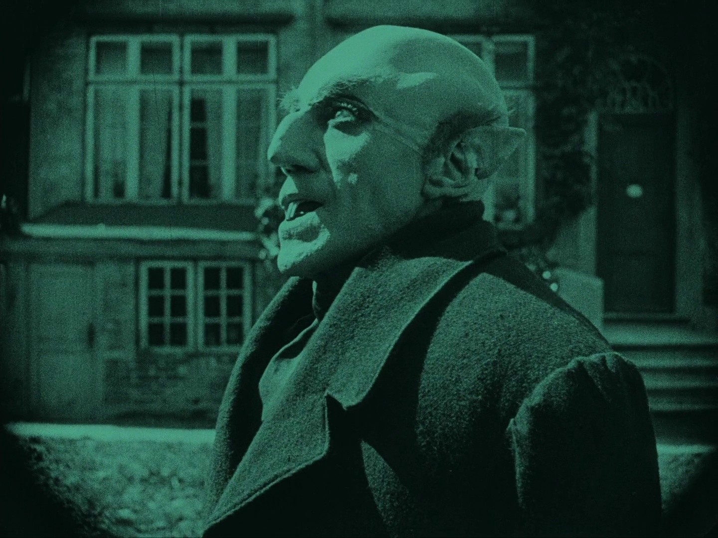 Nosferatu: A Symphony of Horror (1922) —  shot,  lighting
