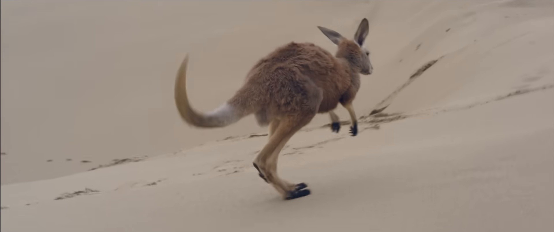 CAN'T HOLD US (2013) —  shot,  lighting