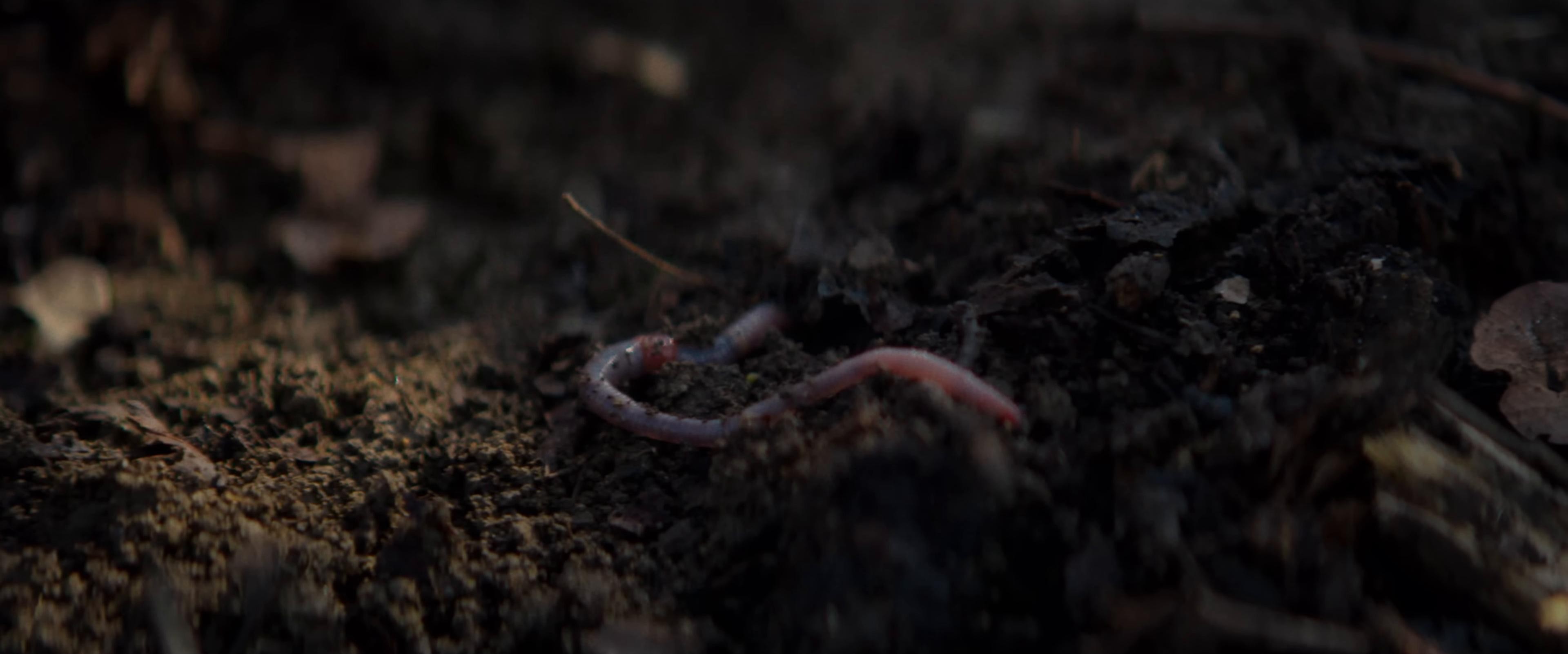 Pirati (2025) —  shot,  lighting