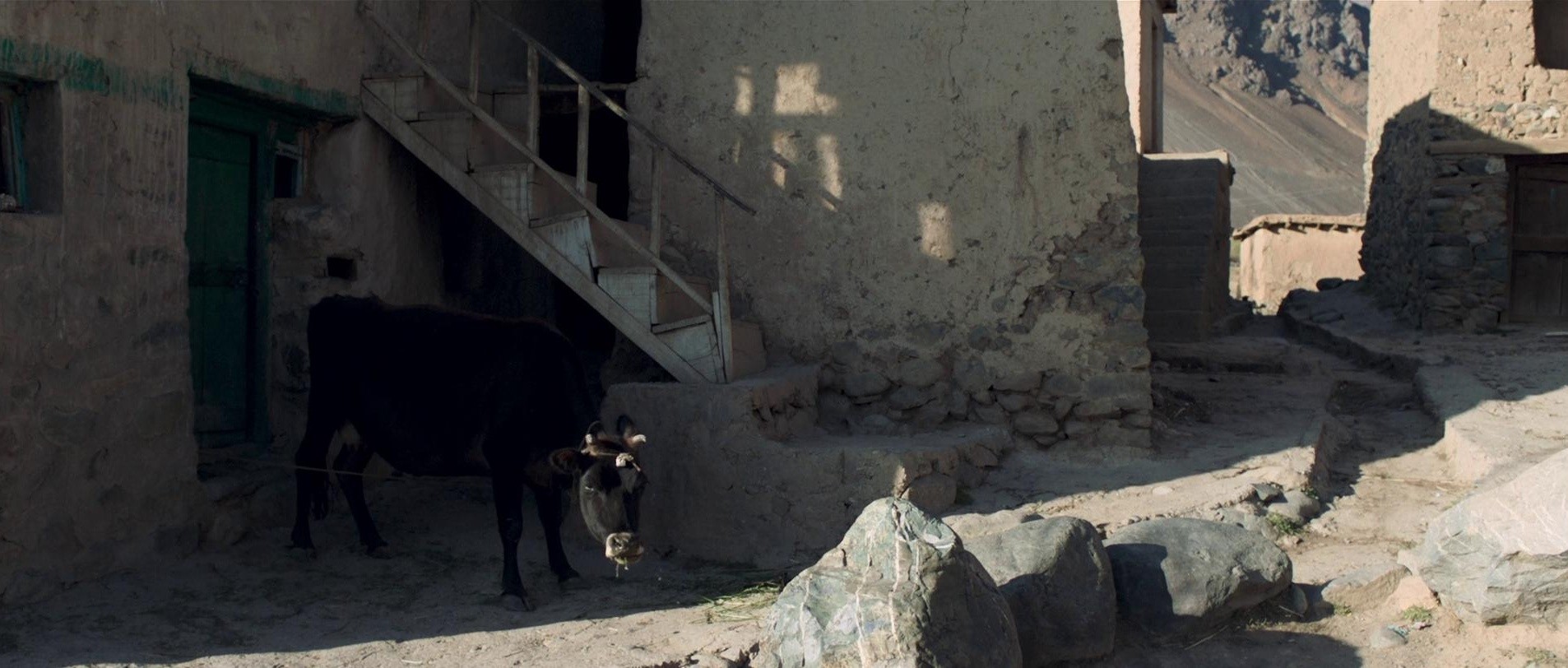 Widow of Silence (2020) —  shot,  lighting