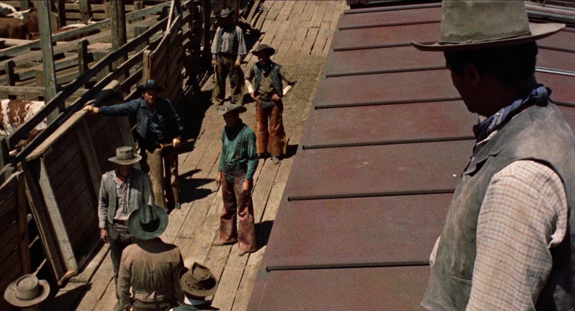 Cowboy (1958) —  shot,  lighting