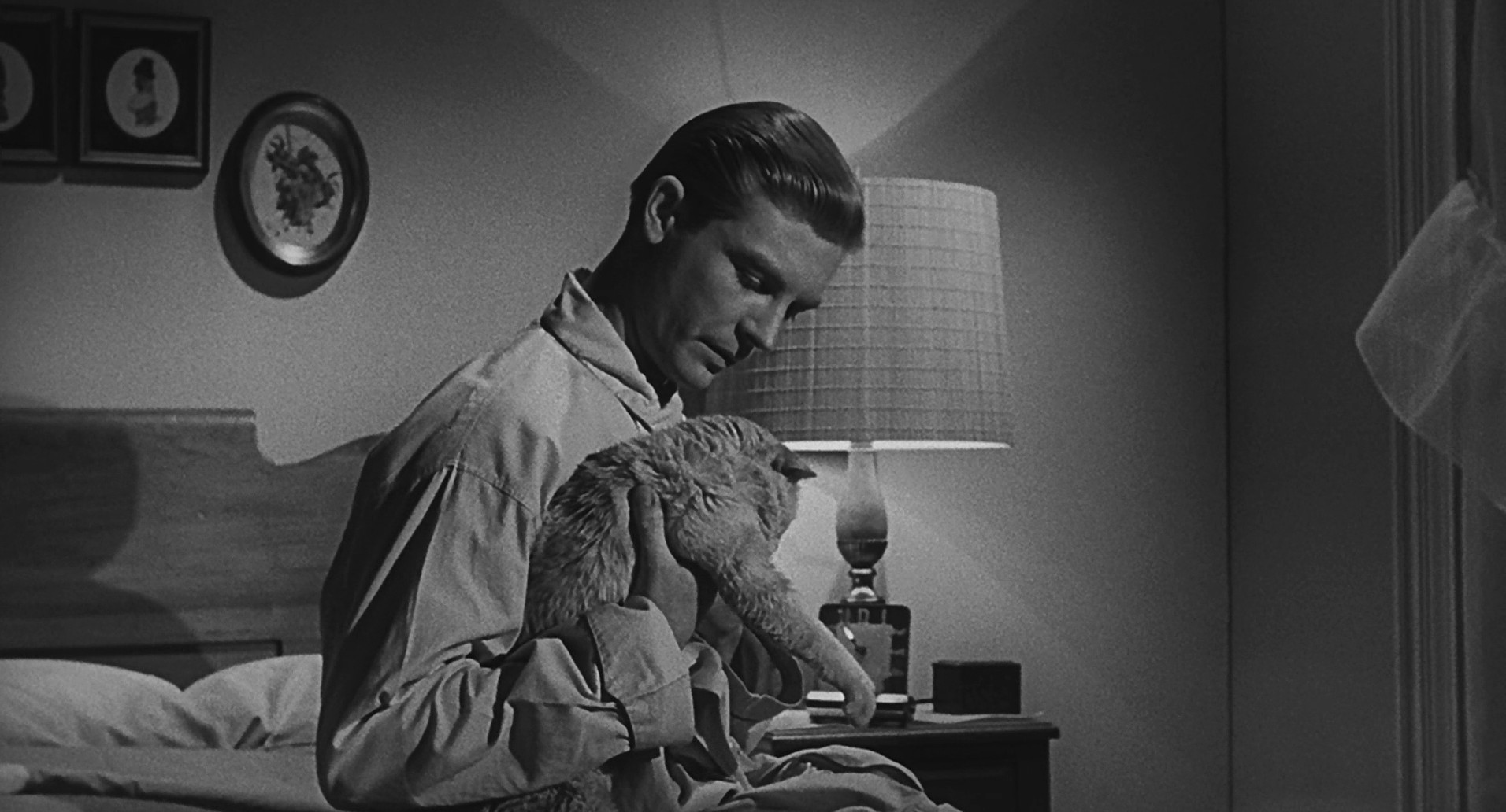 The Incredible Shrinking Man (1957) —  shot,  lighting