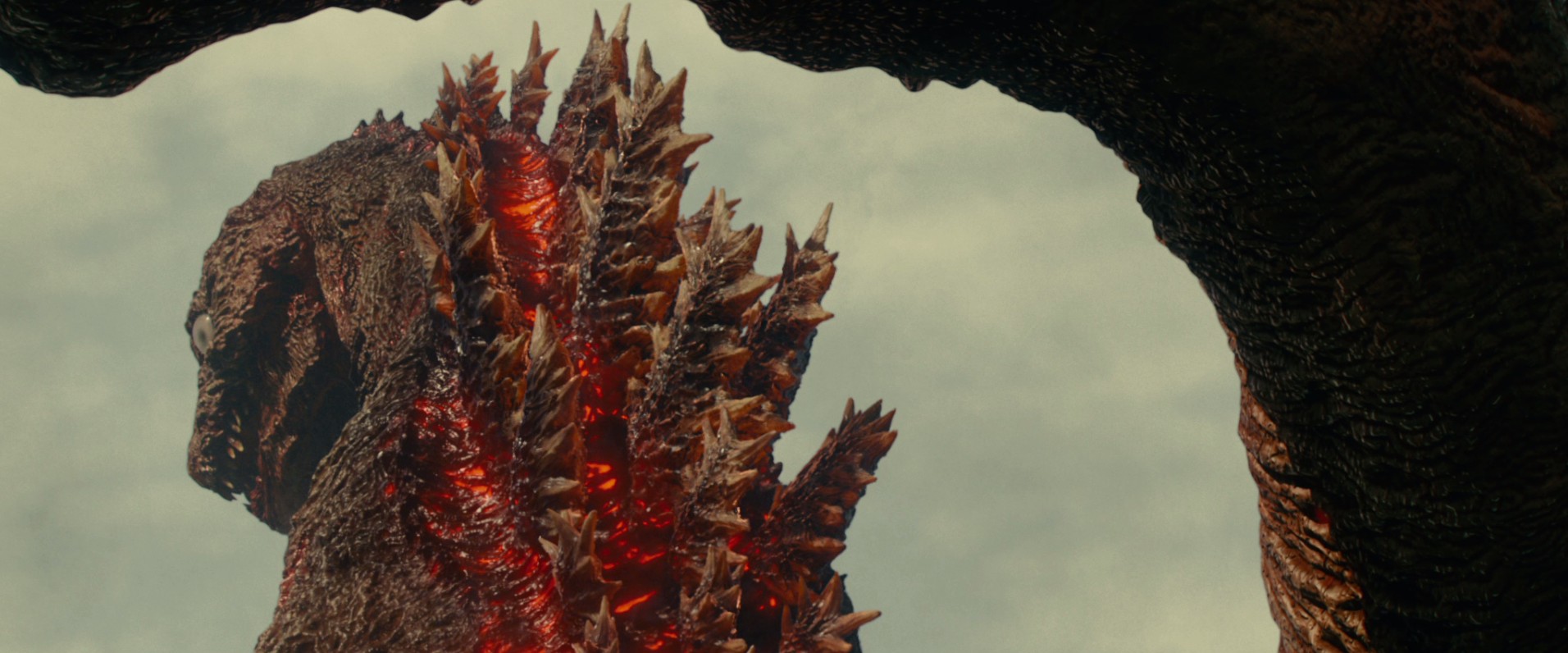 Shin Godzilla (2016) —  shot,  lighting