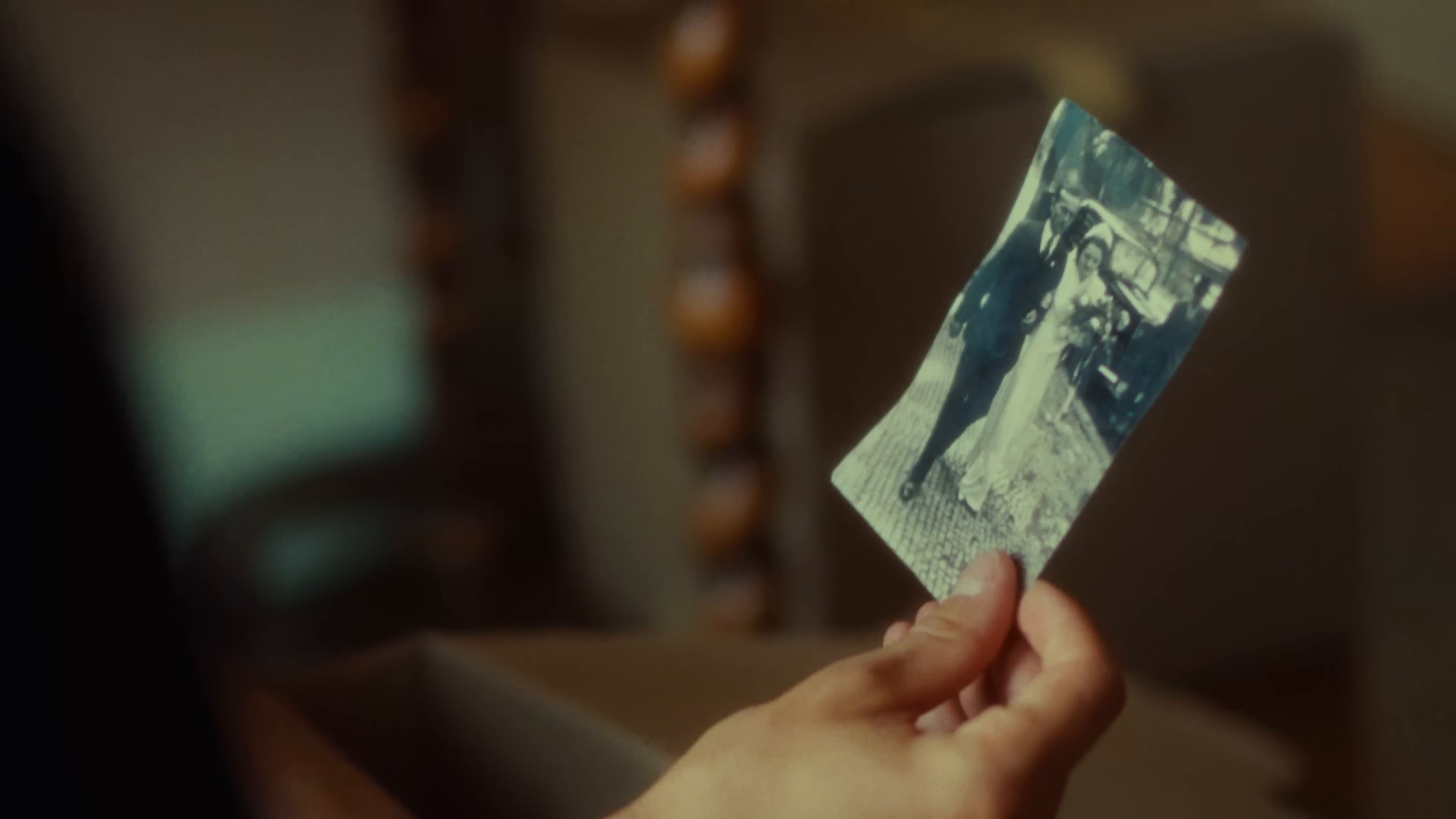 Sweet Delusion (2024) —  shot,  lighting