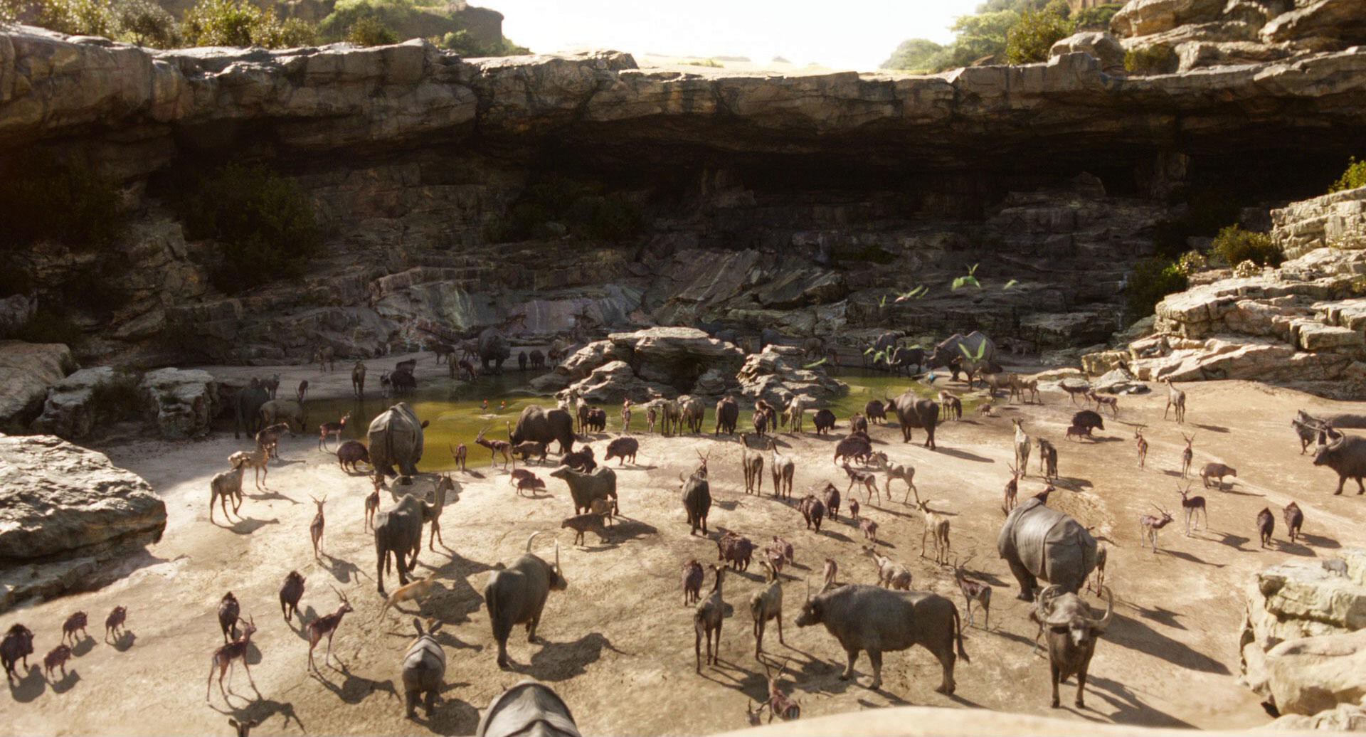 The Jungle Book (2016) —  shot,  lighting