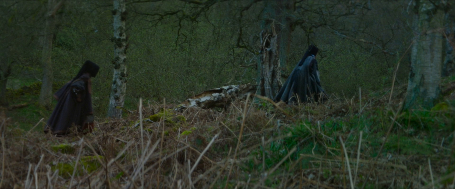 Firebrand (2024) —  shot,  lighting