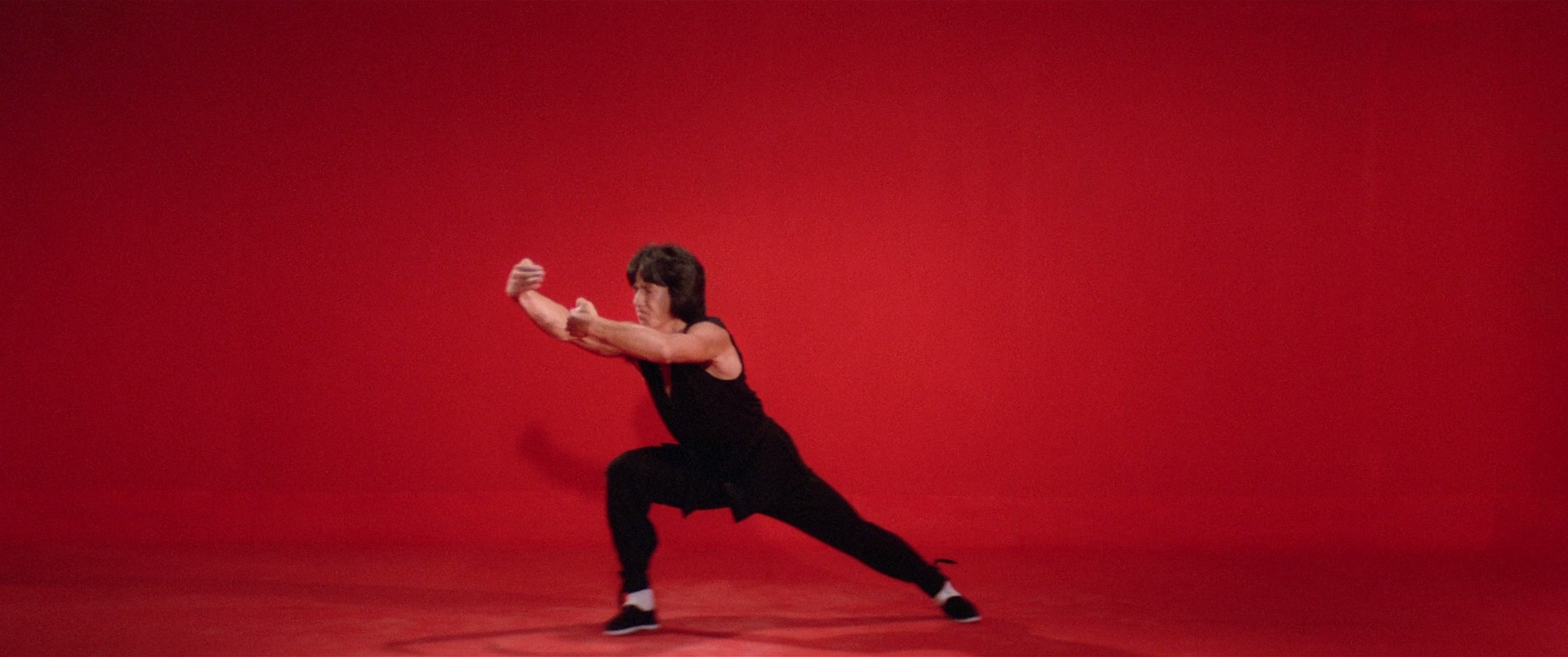 Snake in the Eagle's Shadow (1978) —  shot,  lighting