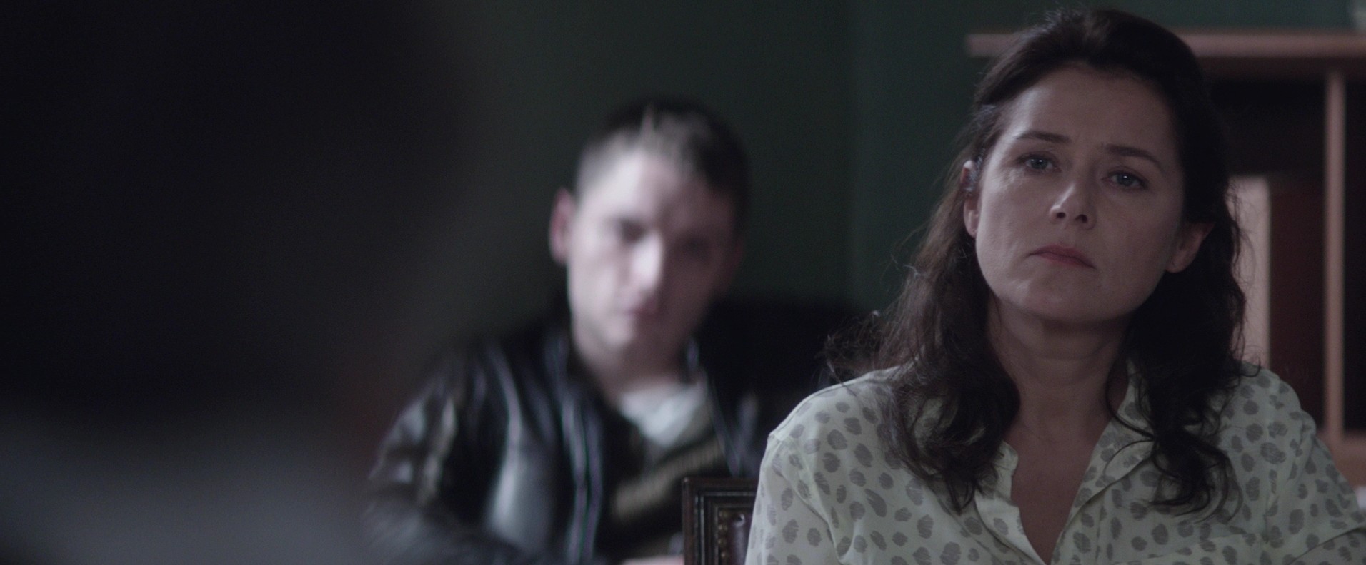 L'hermine (2015) —  shot,  lighting