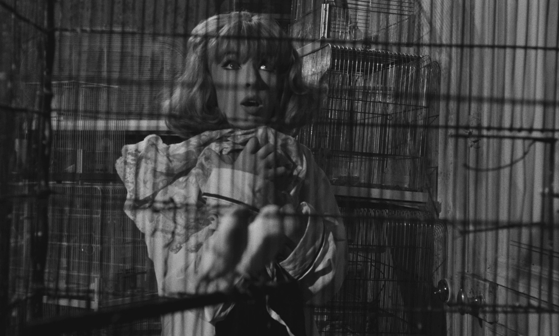 Du mouron pour les petits oiseaux (1963) —  shot,  lighting