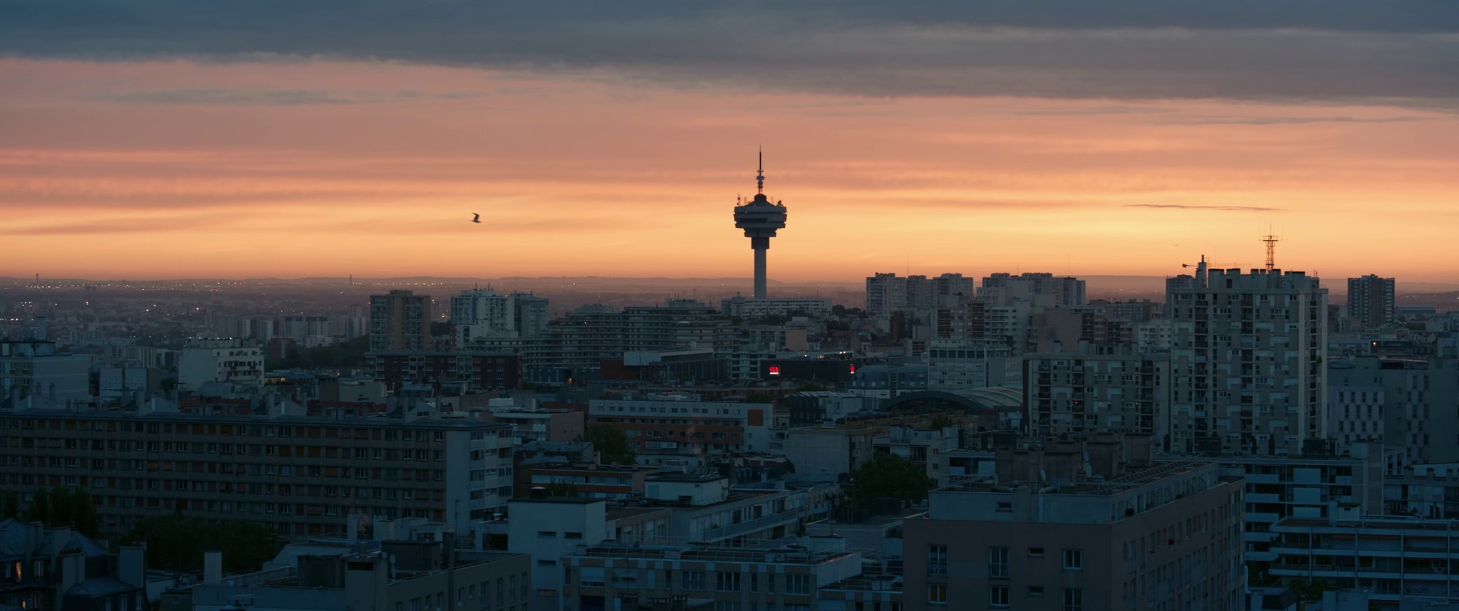 SZR 2001 (2022) —  shot,  lighting