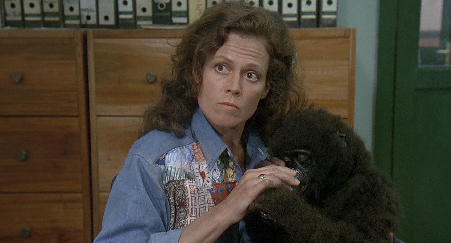 Gorillas in the Mist (1988) —  shot,  lighting