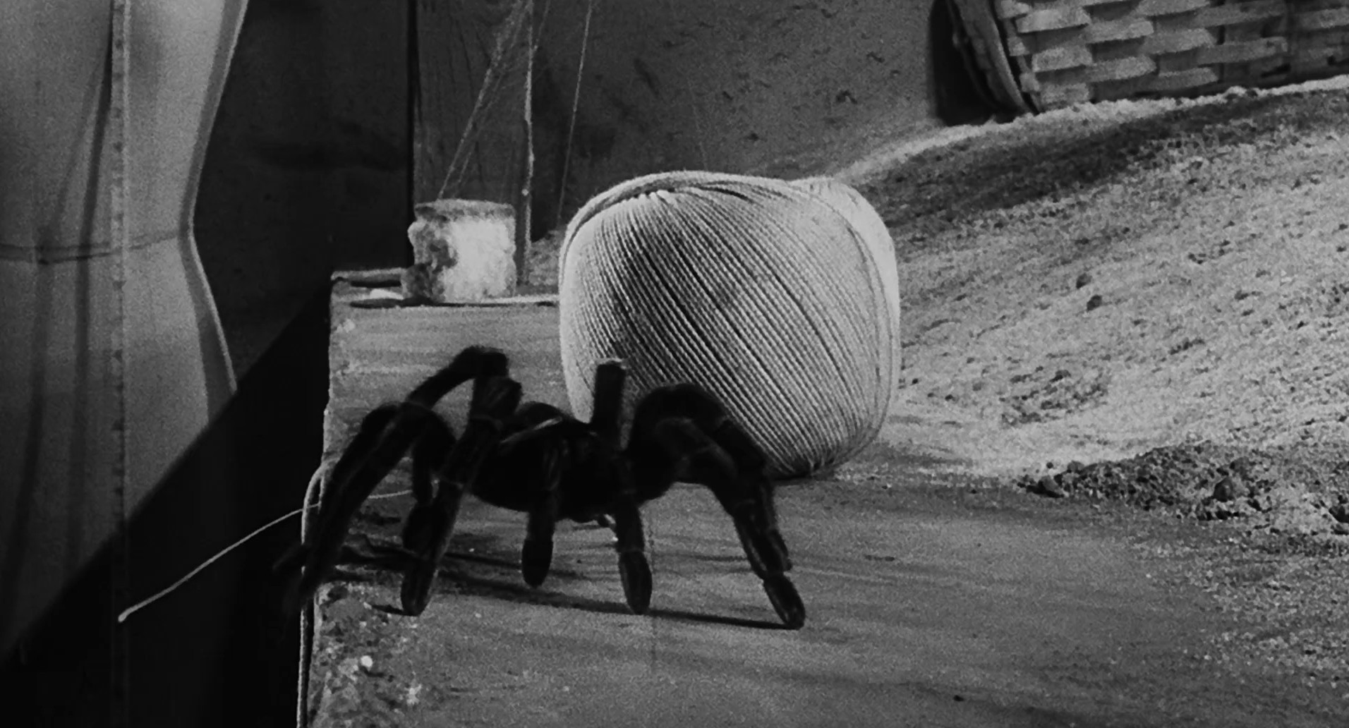 The Incredible Shrinking Man (1957) —  shot,  lighting