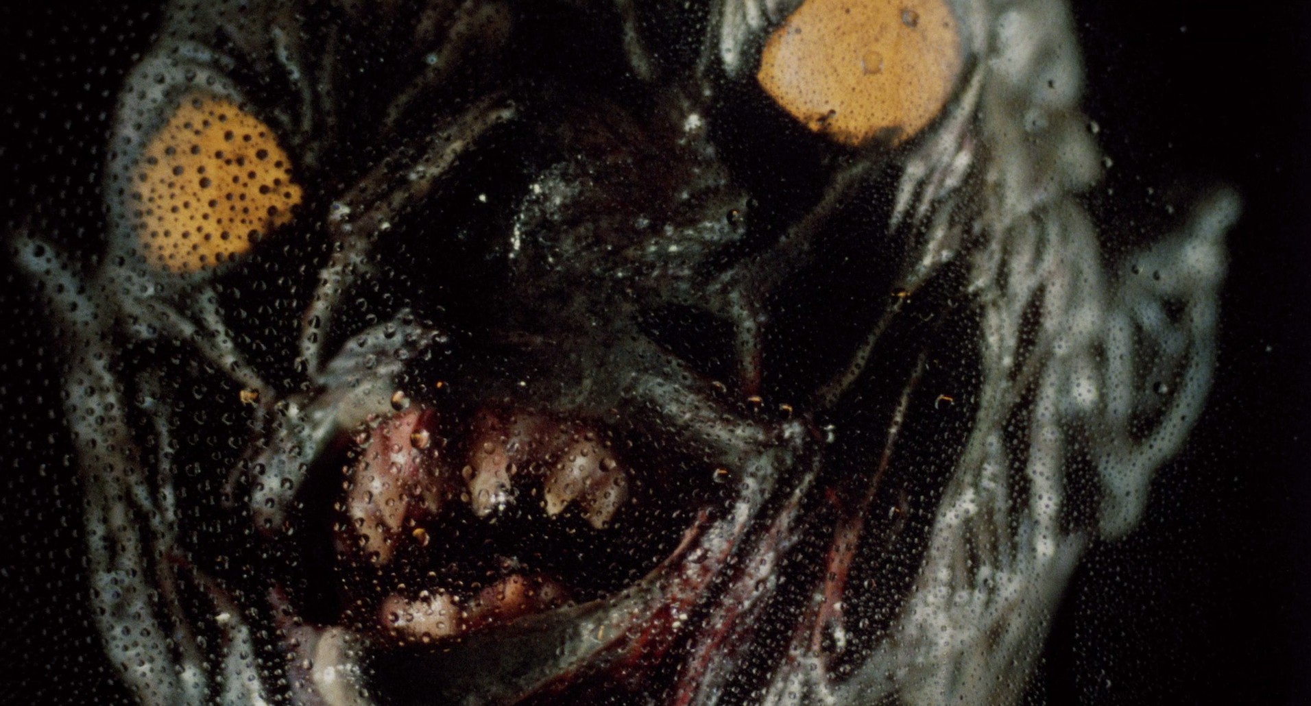 C.H.U.D. (1984) —  shot,  lighting