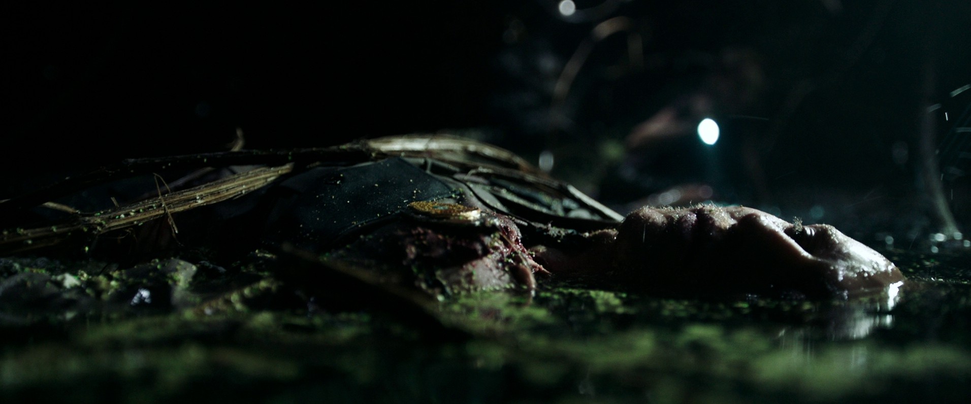 Crawl (2019) —  shot,  lighting