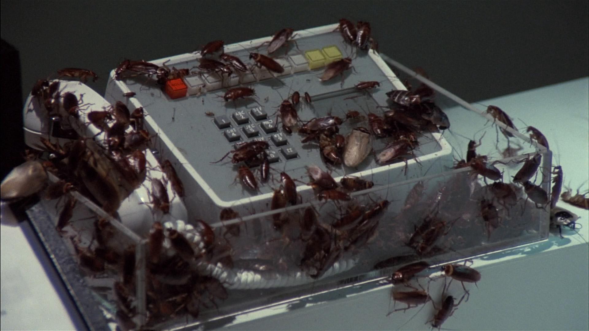 Creepshow (1982) —  shot,  lighting