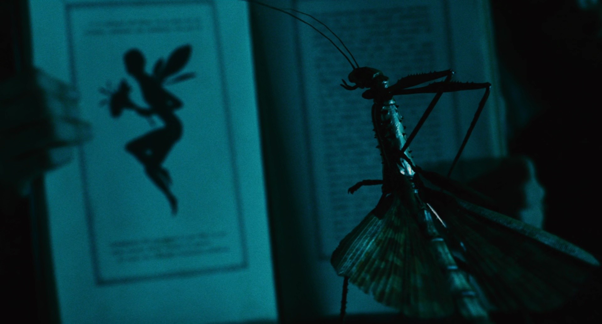 Pan's Labyrinth (2006) —  shot,  lighting