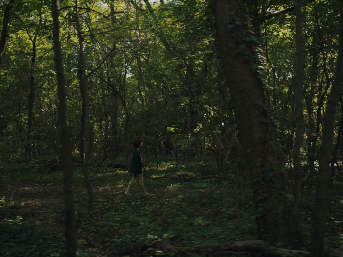 The Trouble with Being Born (2020) —  shot,  lighting