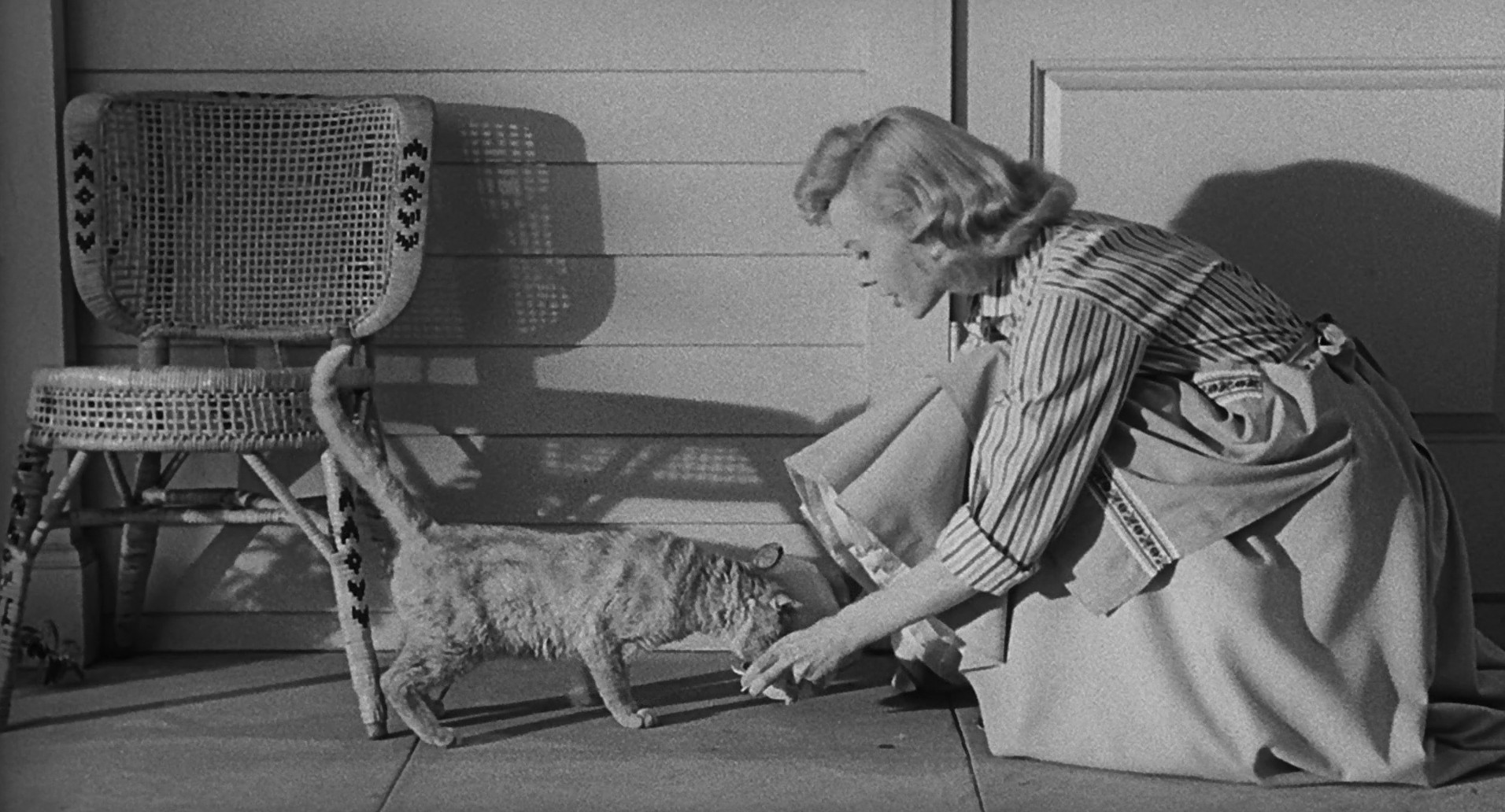 The Incredible Shrinking Man (1957) —  shot,  lighting