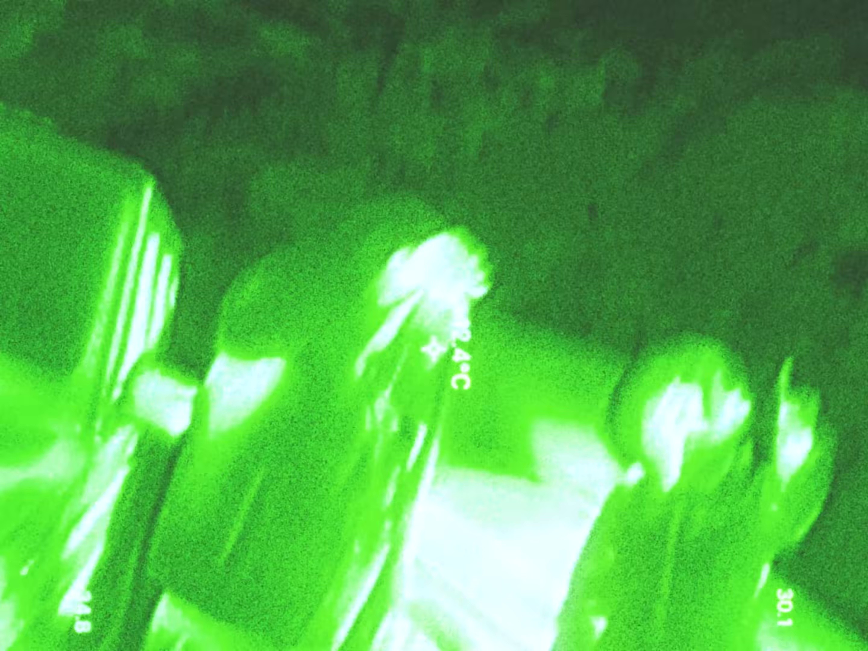 AYAHUASCA (2025) —  shot,  lighting