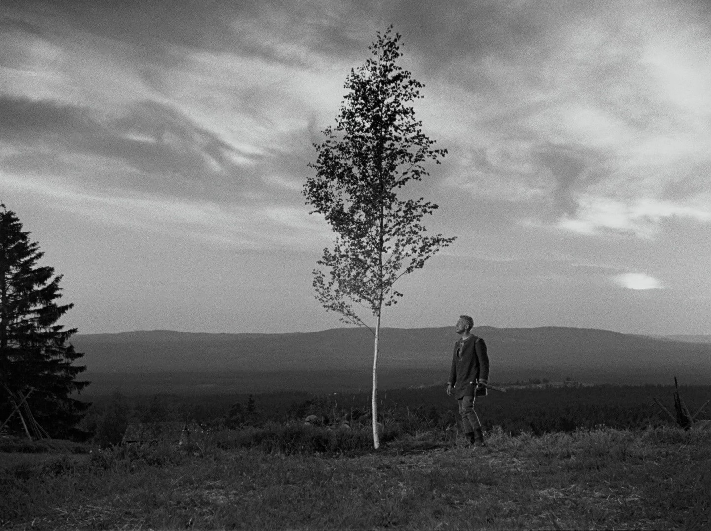 The Virgin Spring (1960) —  shot,  lighting