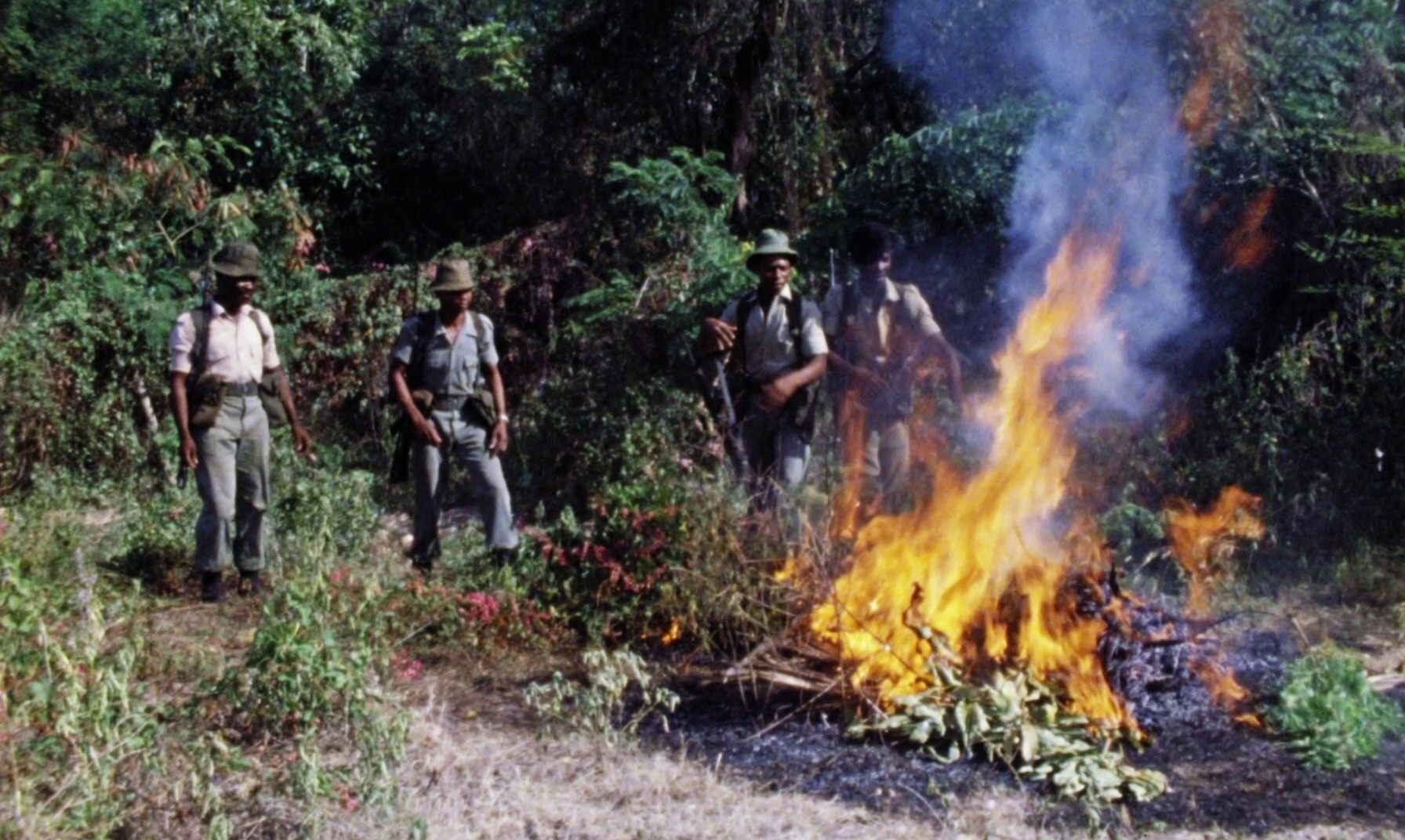 The Harder They Come (1972) —  shot,  lighting