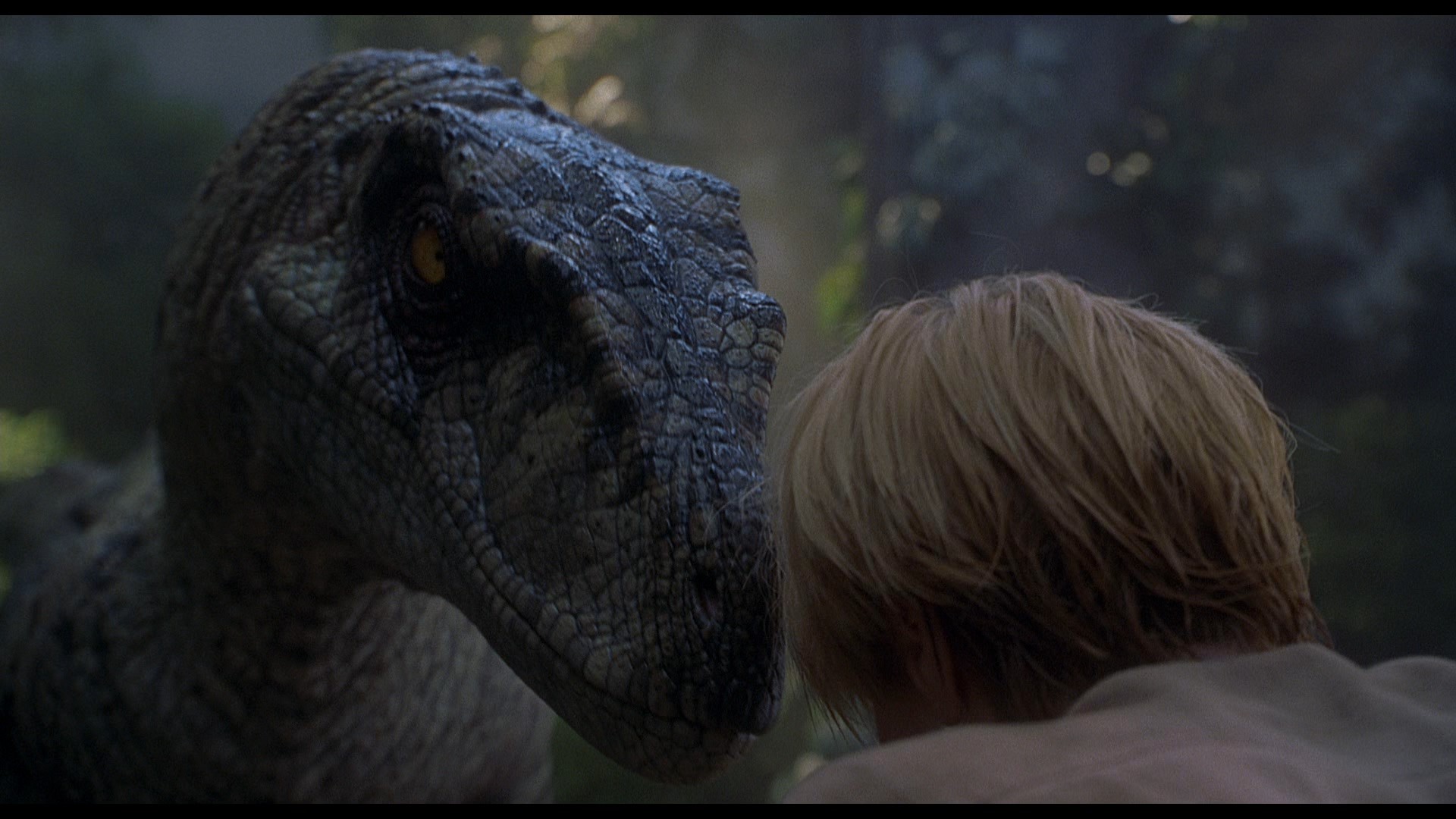 Jurassic Park III (2001) —  shot,  lighting