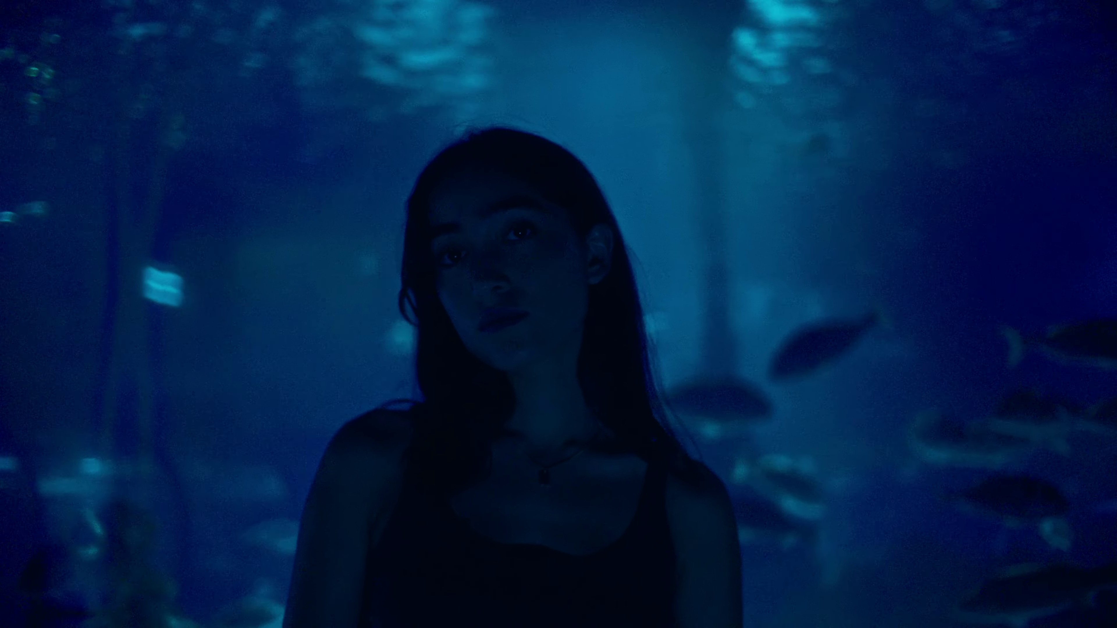 Rain (2022) —  shot,  lighting