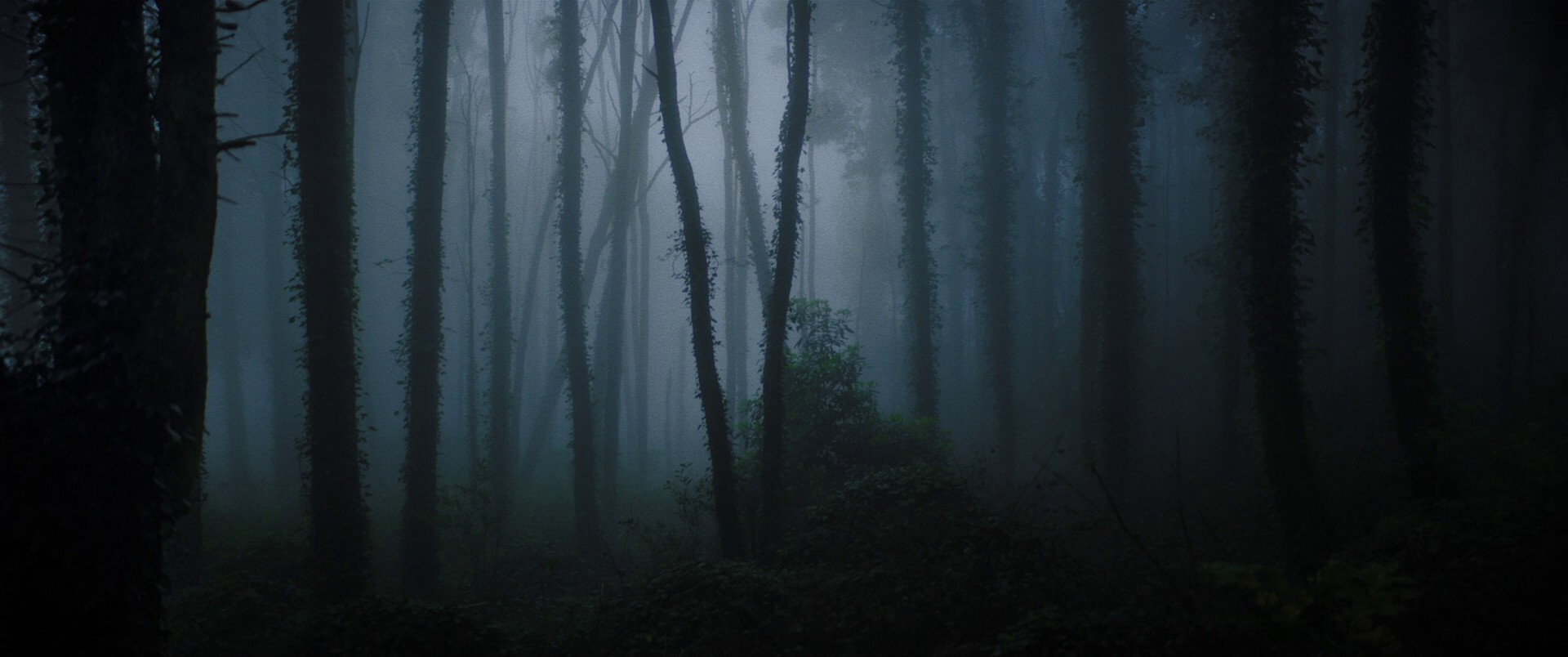 Color Out of Space (2019) —  shot,  lighting