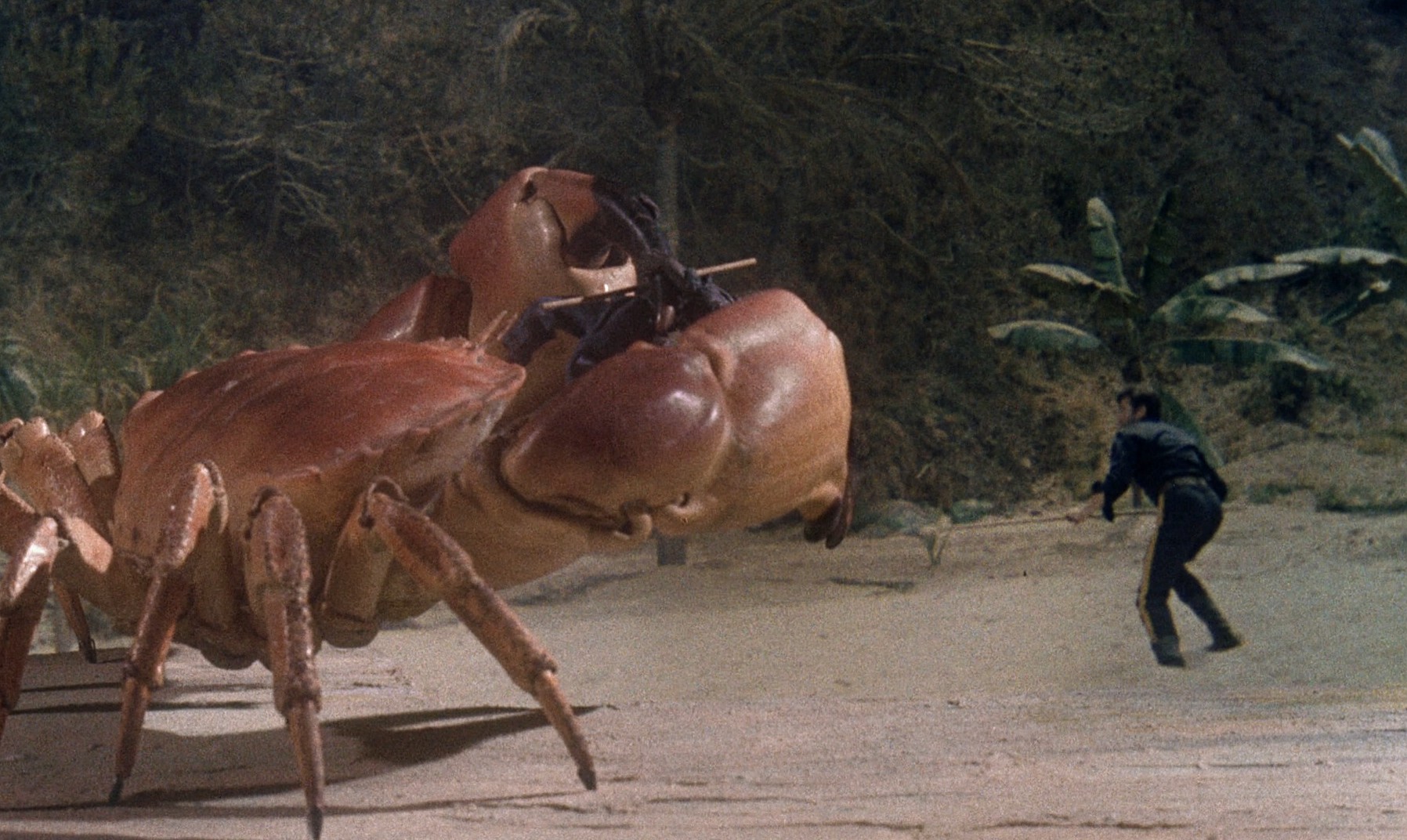 Mysterious Island (1961) —  shot,  lighting