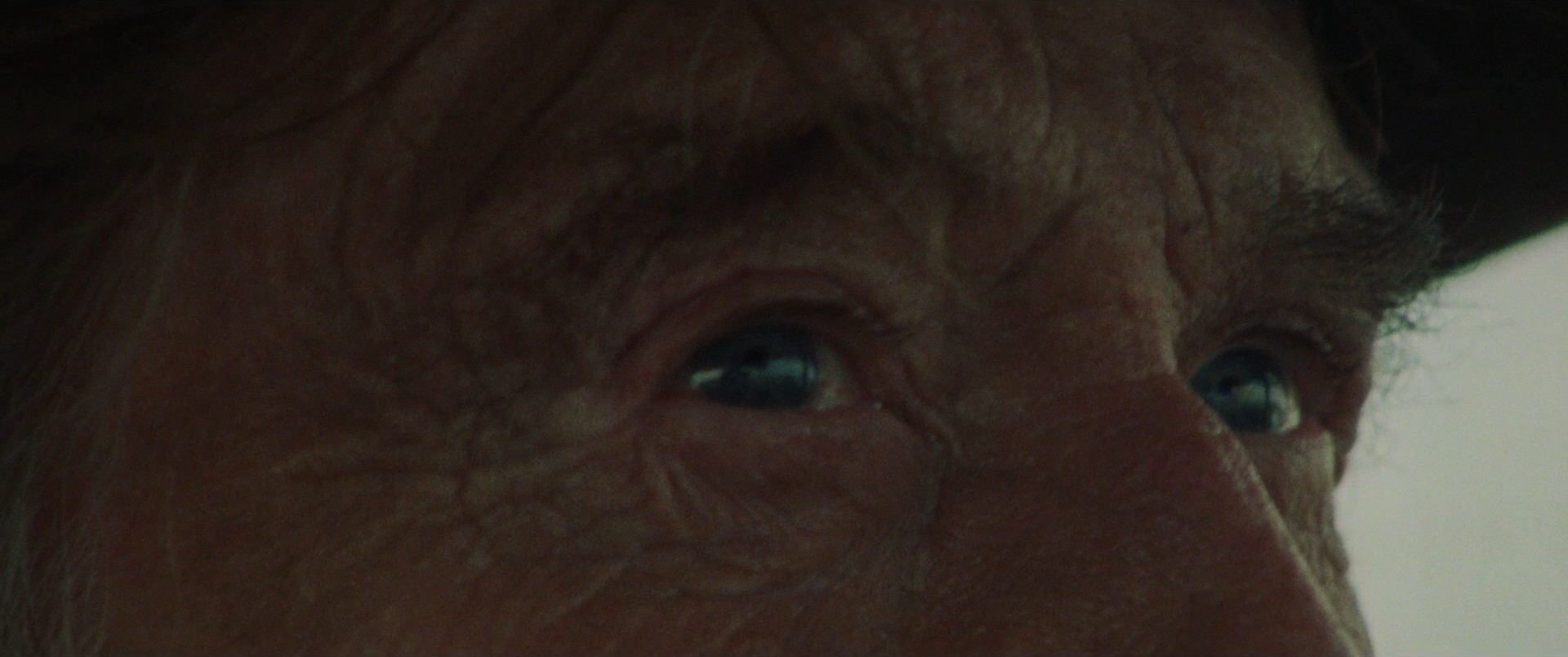 The Old Man & The Gun (2018) —  shot,  lighting