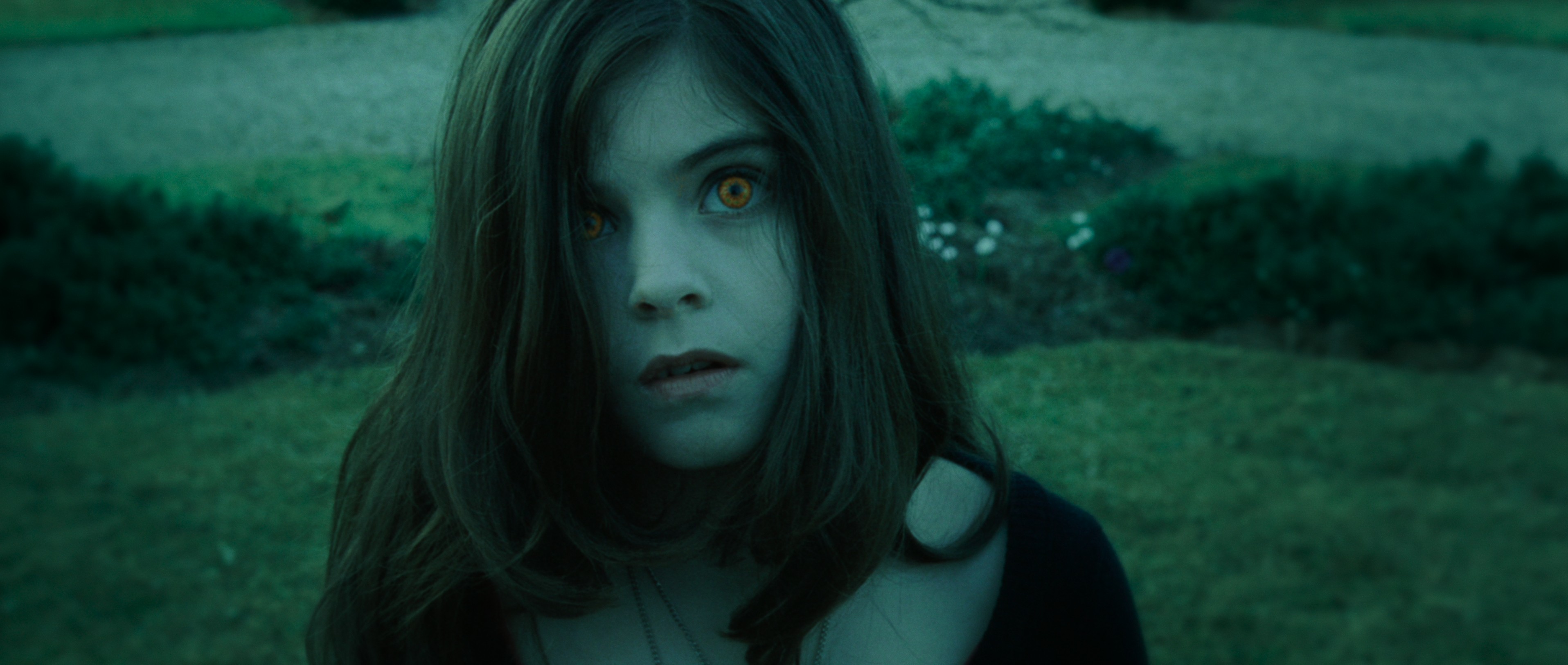 Daybreakers (2009) —  shot,  lighting