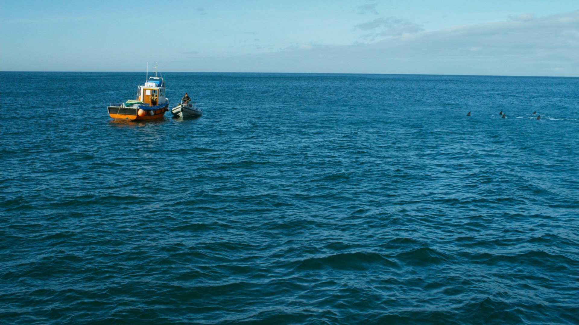 Deep Blue Sea 2 (2018) —  shot,  lighting