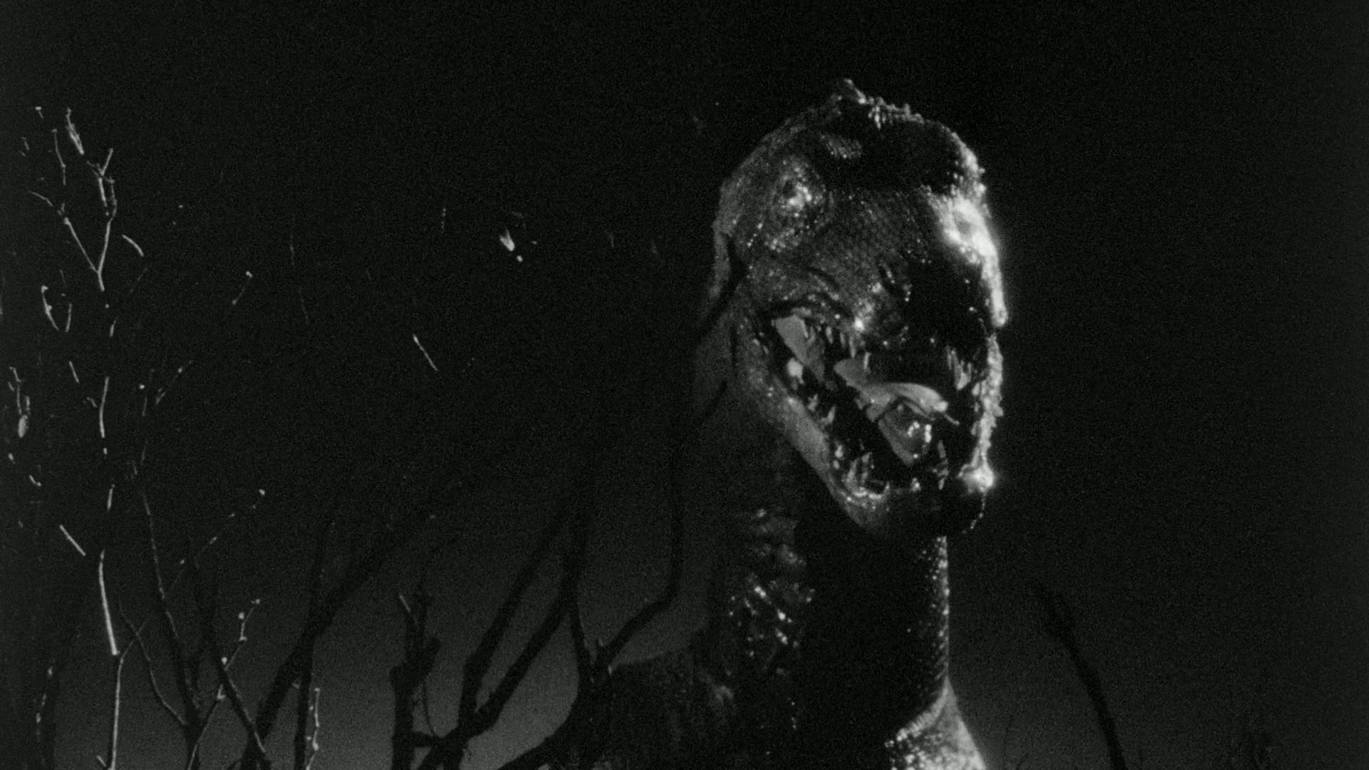 The Giant Behemoth (1959) —  shot,  lighting