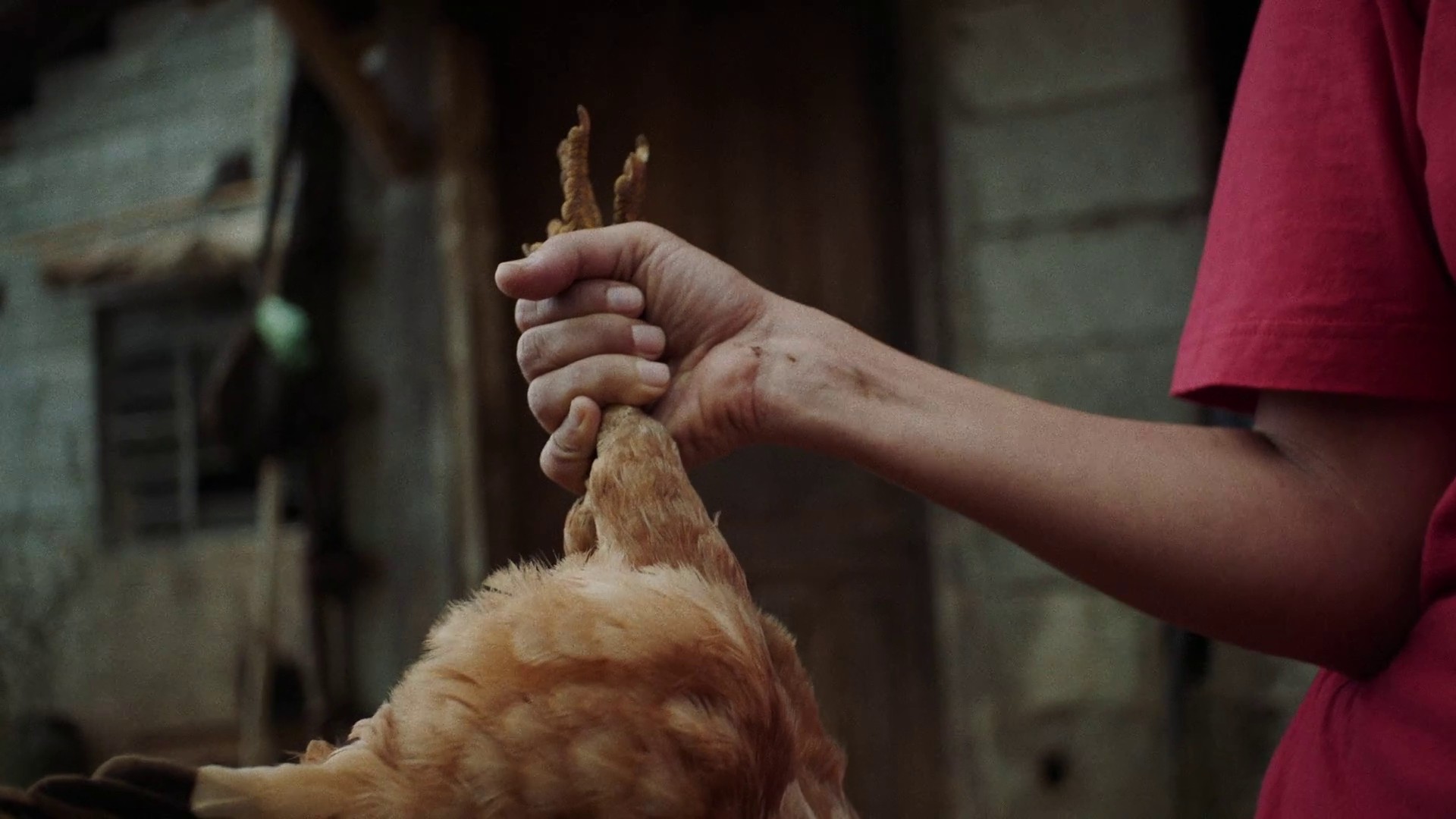 Charcoal (2023) —  shot,  lighting