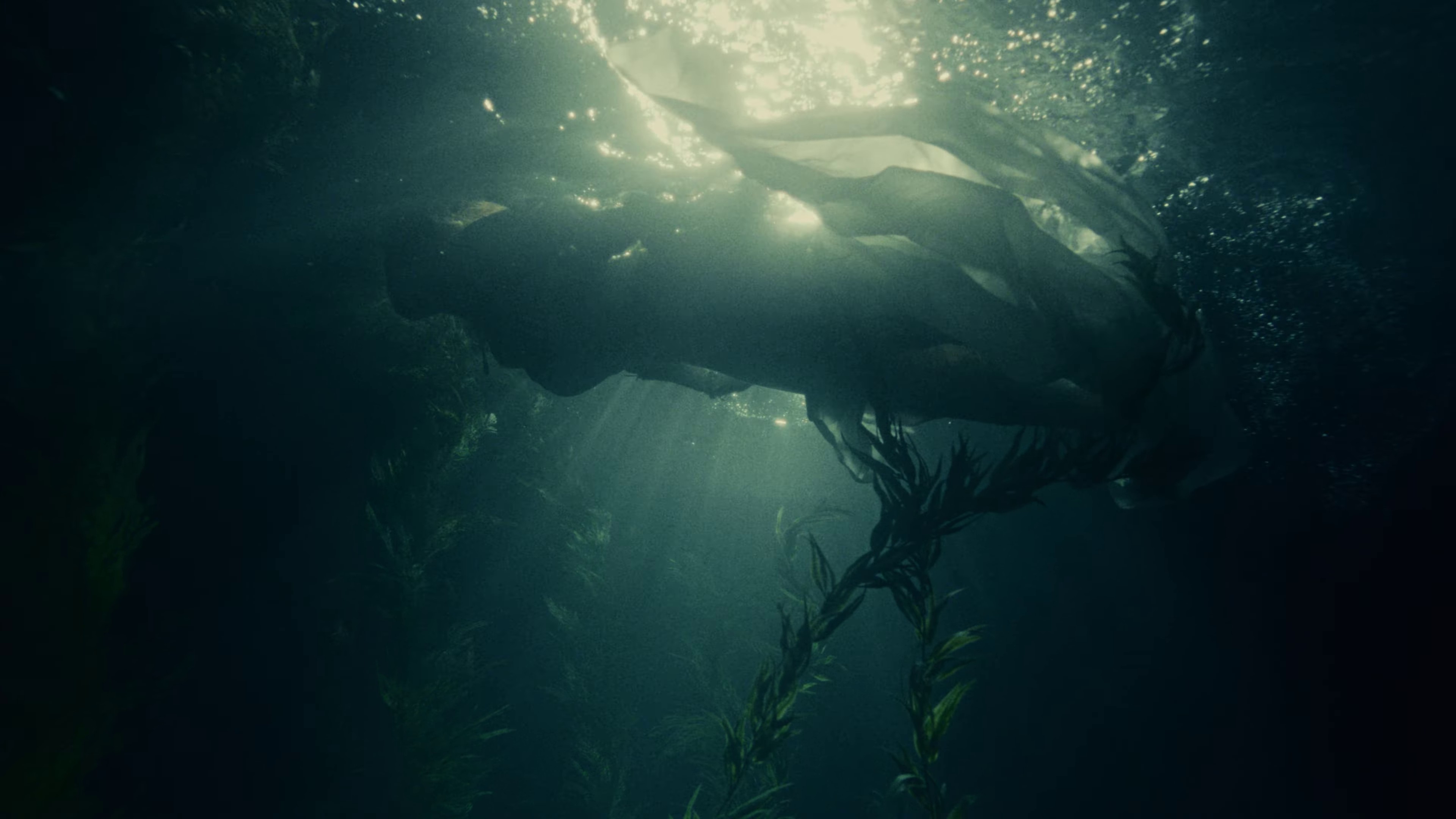 Your face (2023) —  shot,  lighting