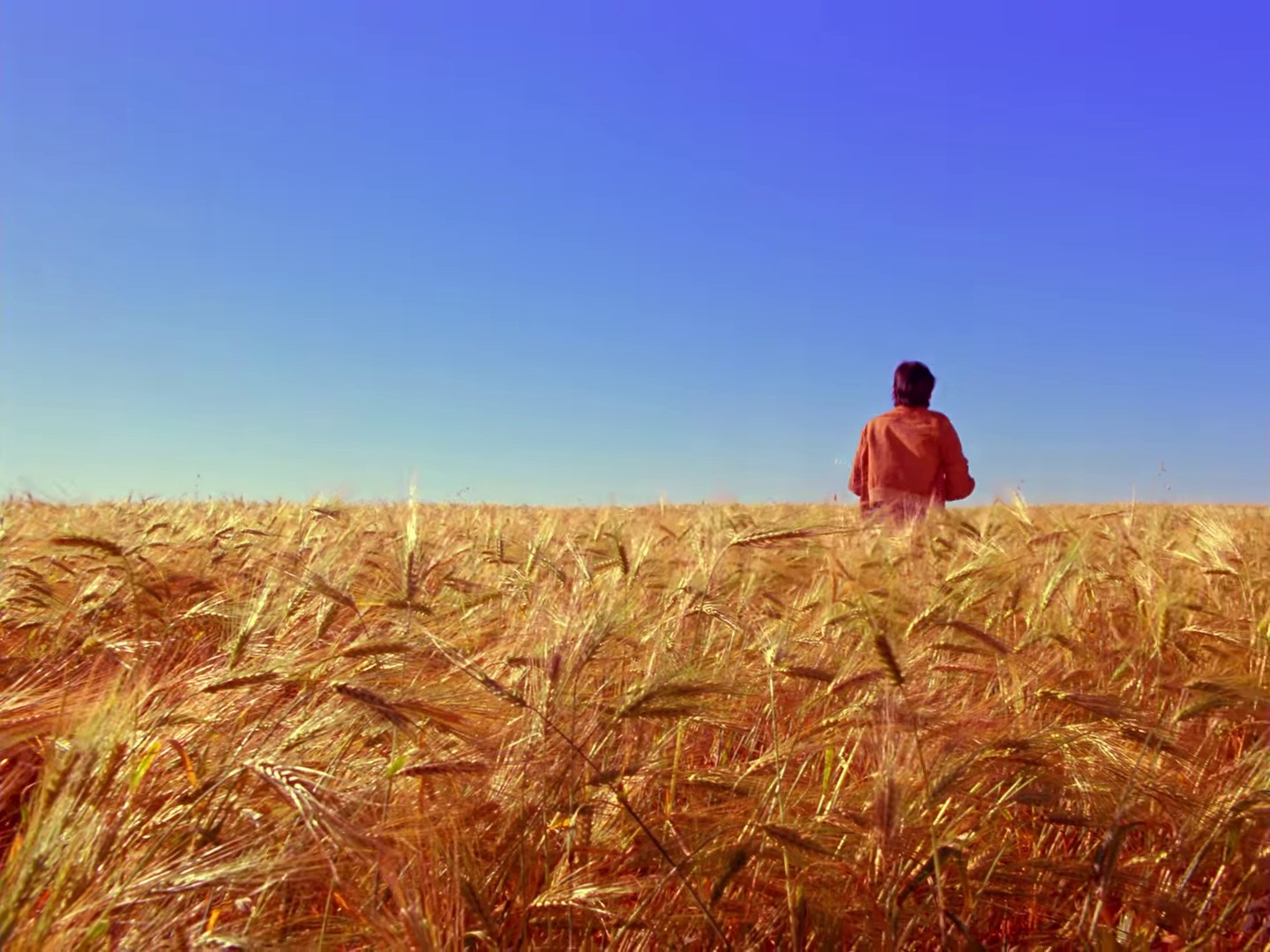 Learning to Fly (1987) —  shot,  lighting