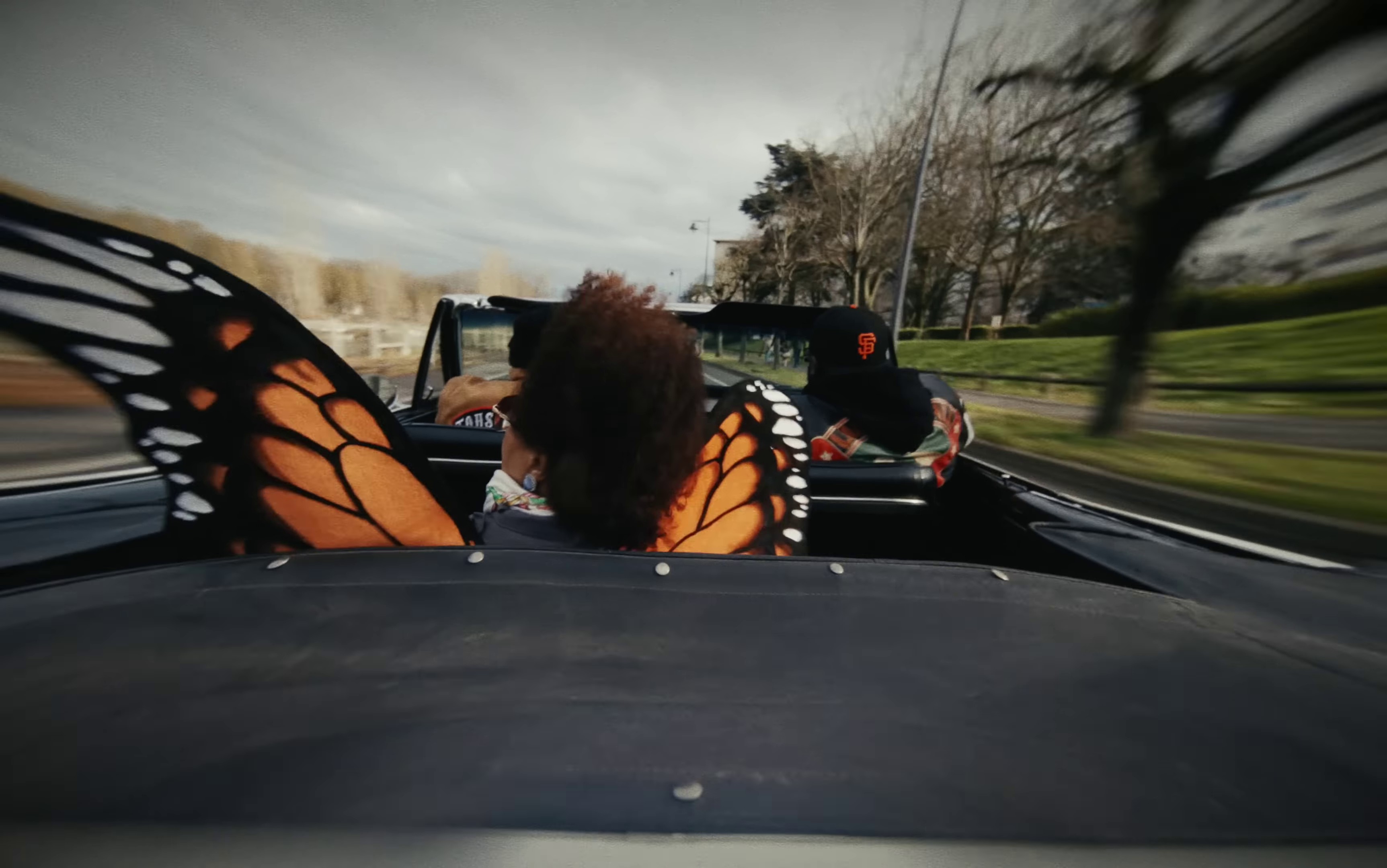 Papillon Monarque (2023) —  shot,  lighting