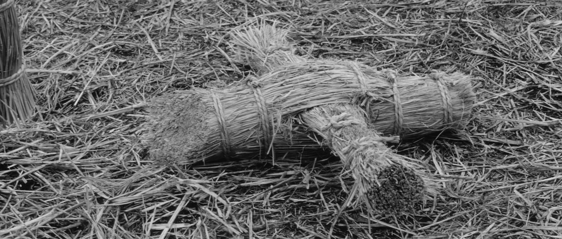 Samurai Rebellion (1967) —  shot,  lighting