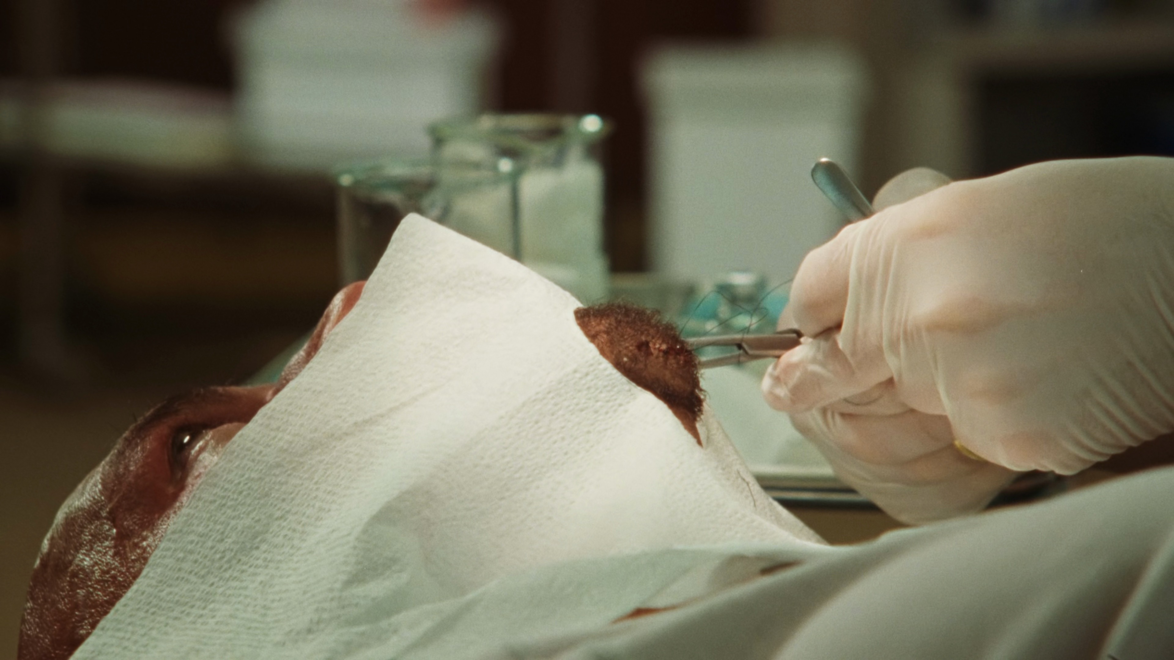 The Smashing Machine (2025) —  shot,  lighting