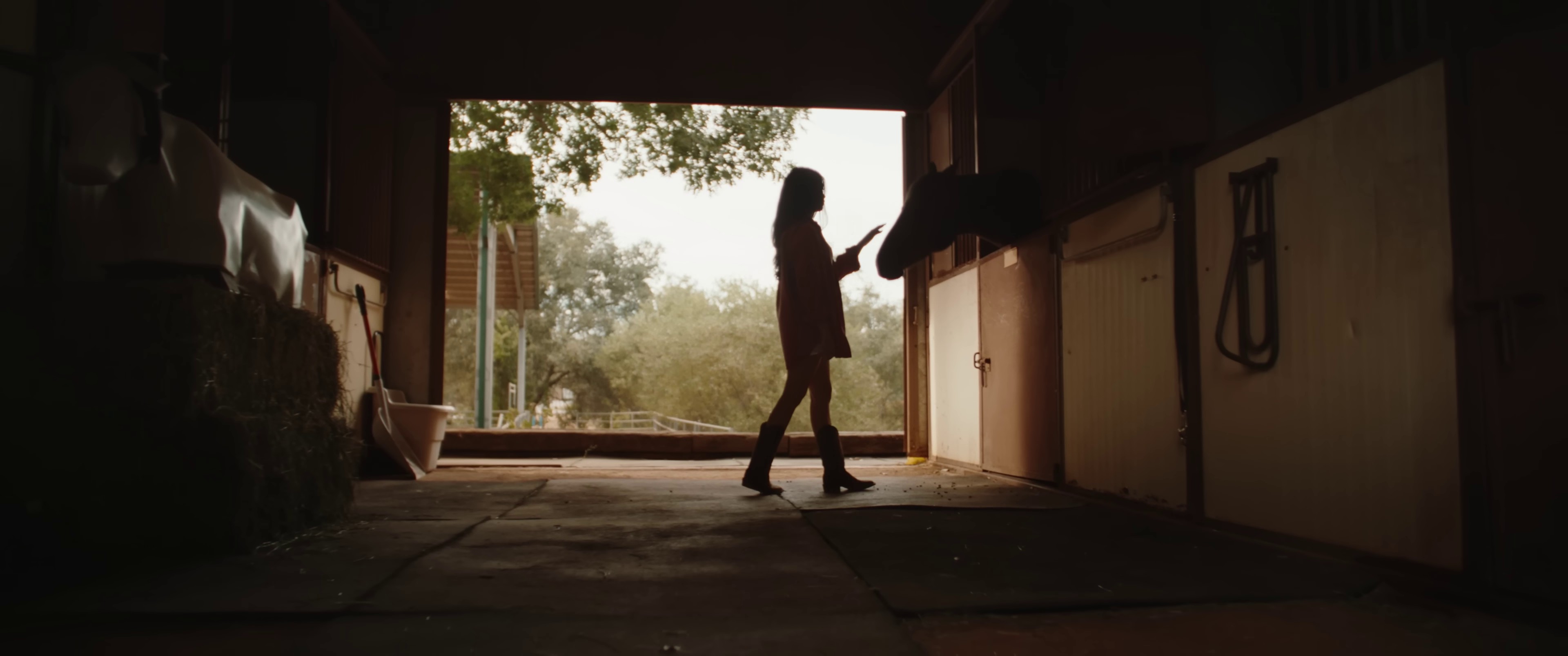 When I Go (2023) —  shot,  lighting