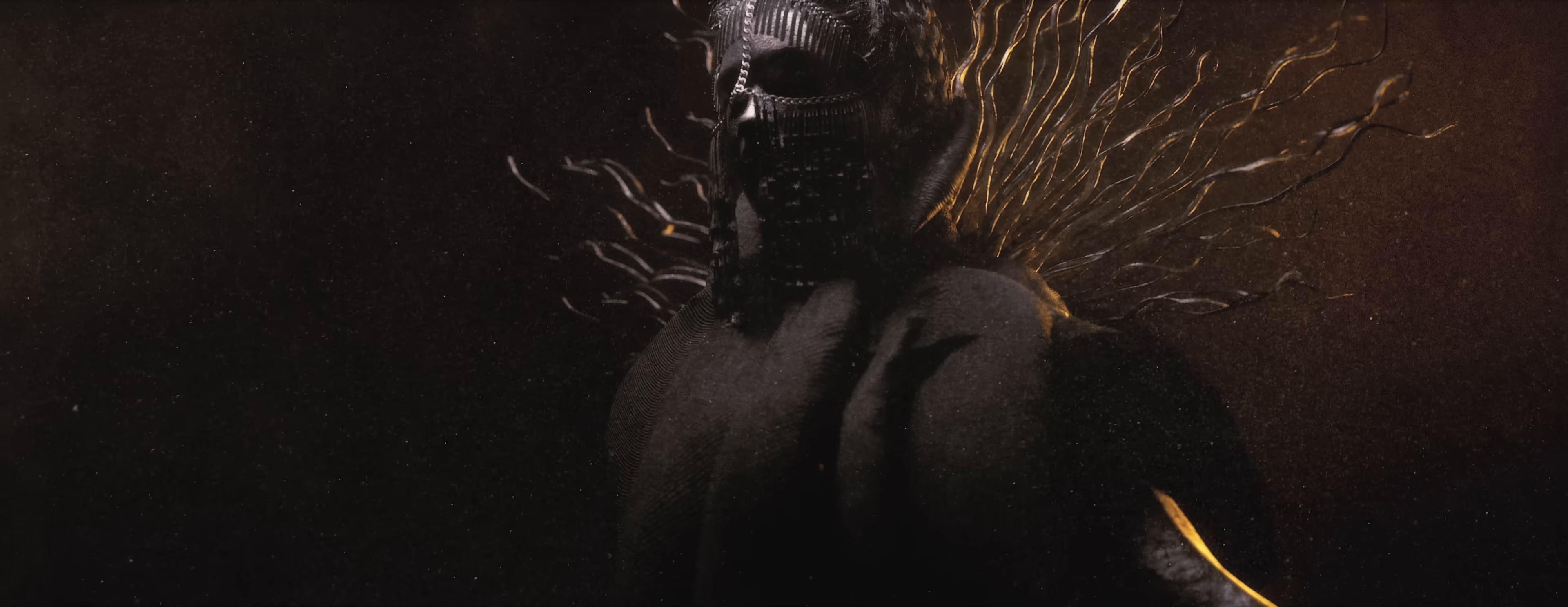 Infestis (2025) —  shot,  lighting