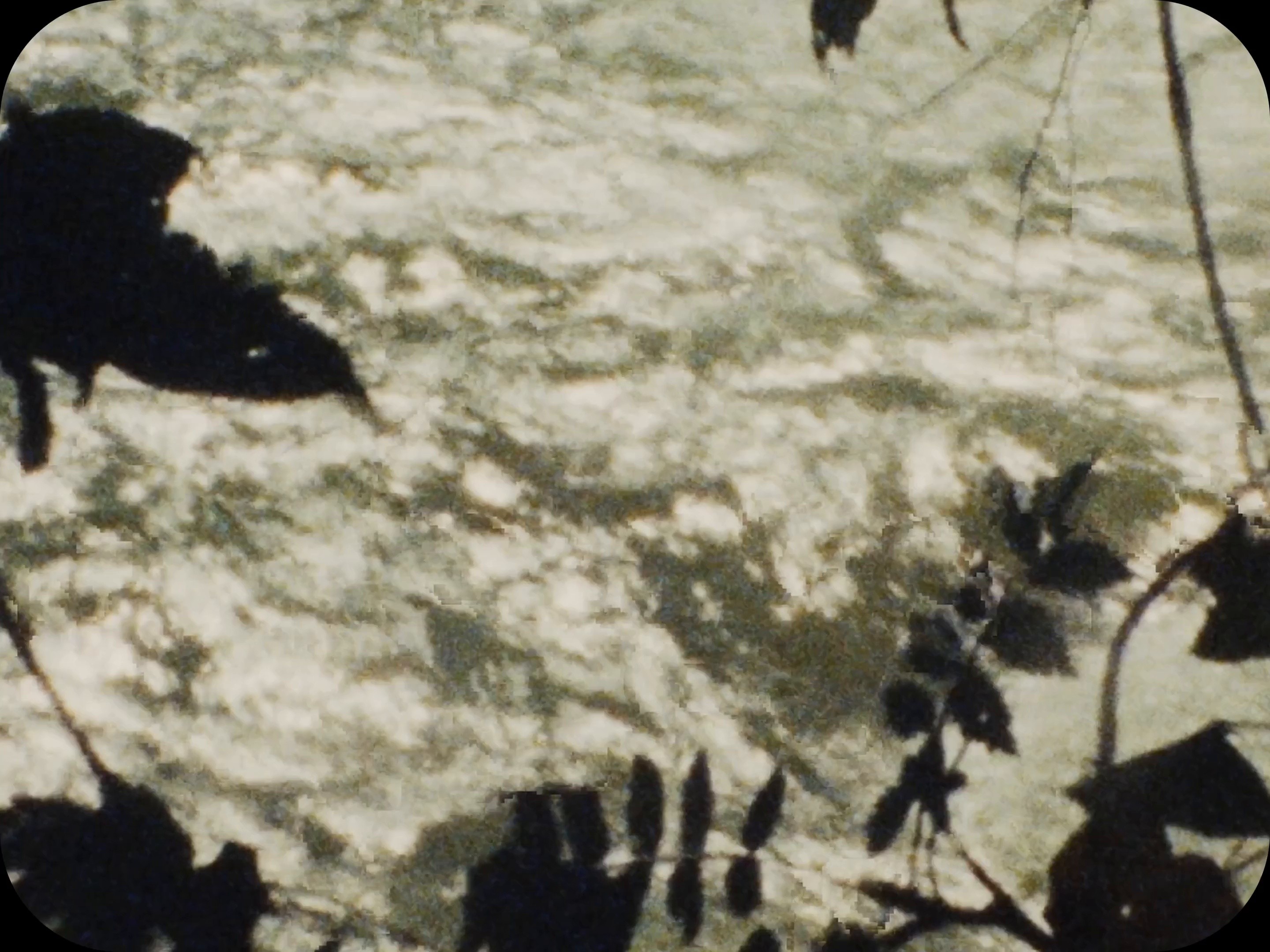 Trianguló de amor bizarro (2025) —  shot,  lighting